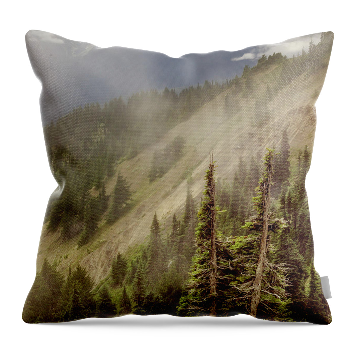 Mountains Throw Pillow featuring the photograph Olympic Range from Hurricane Ridge by Peter J Sucy