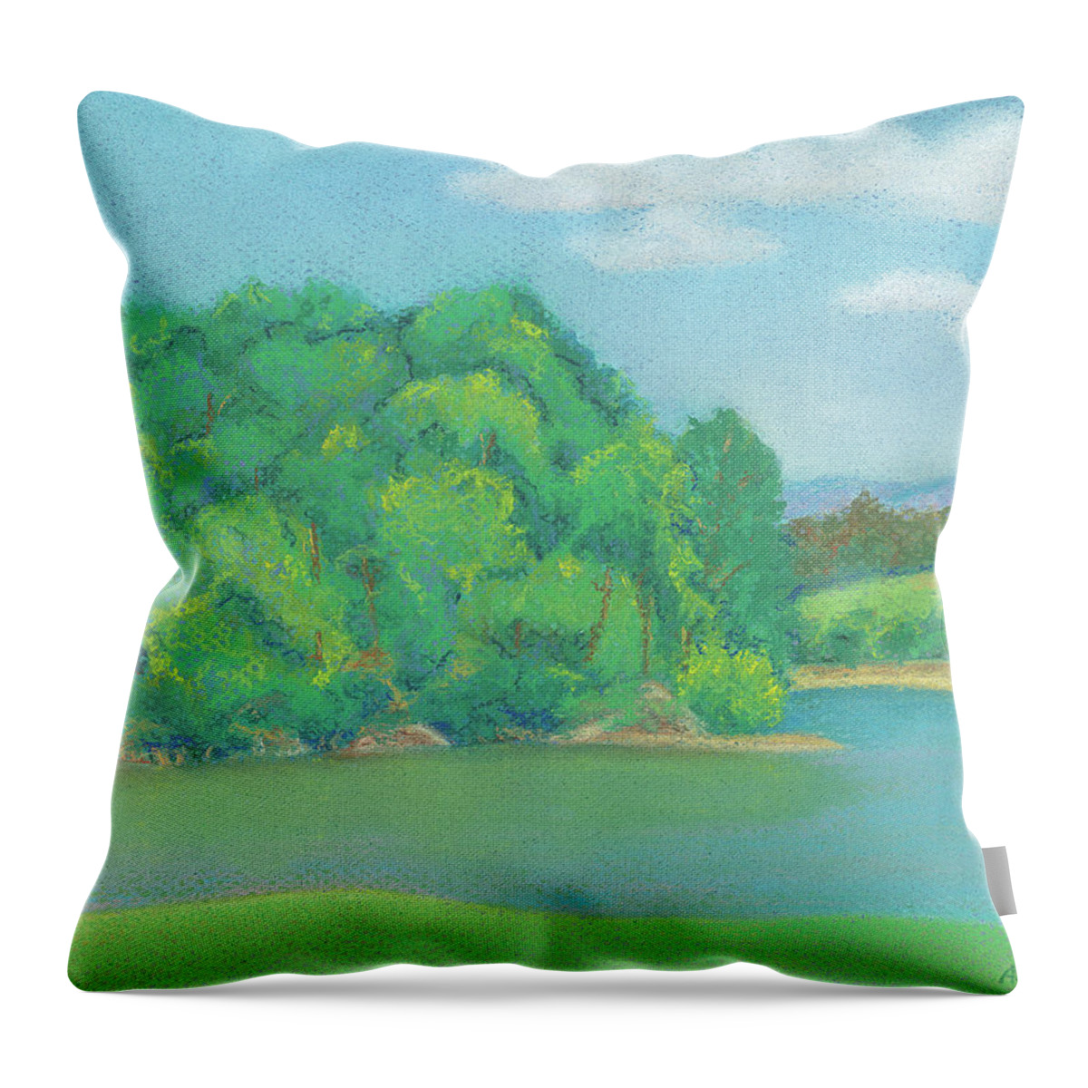 Art Throw Pillow featuring the pastel Omega Afternoon by Anne Katzeff