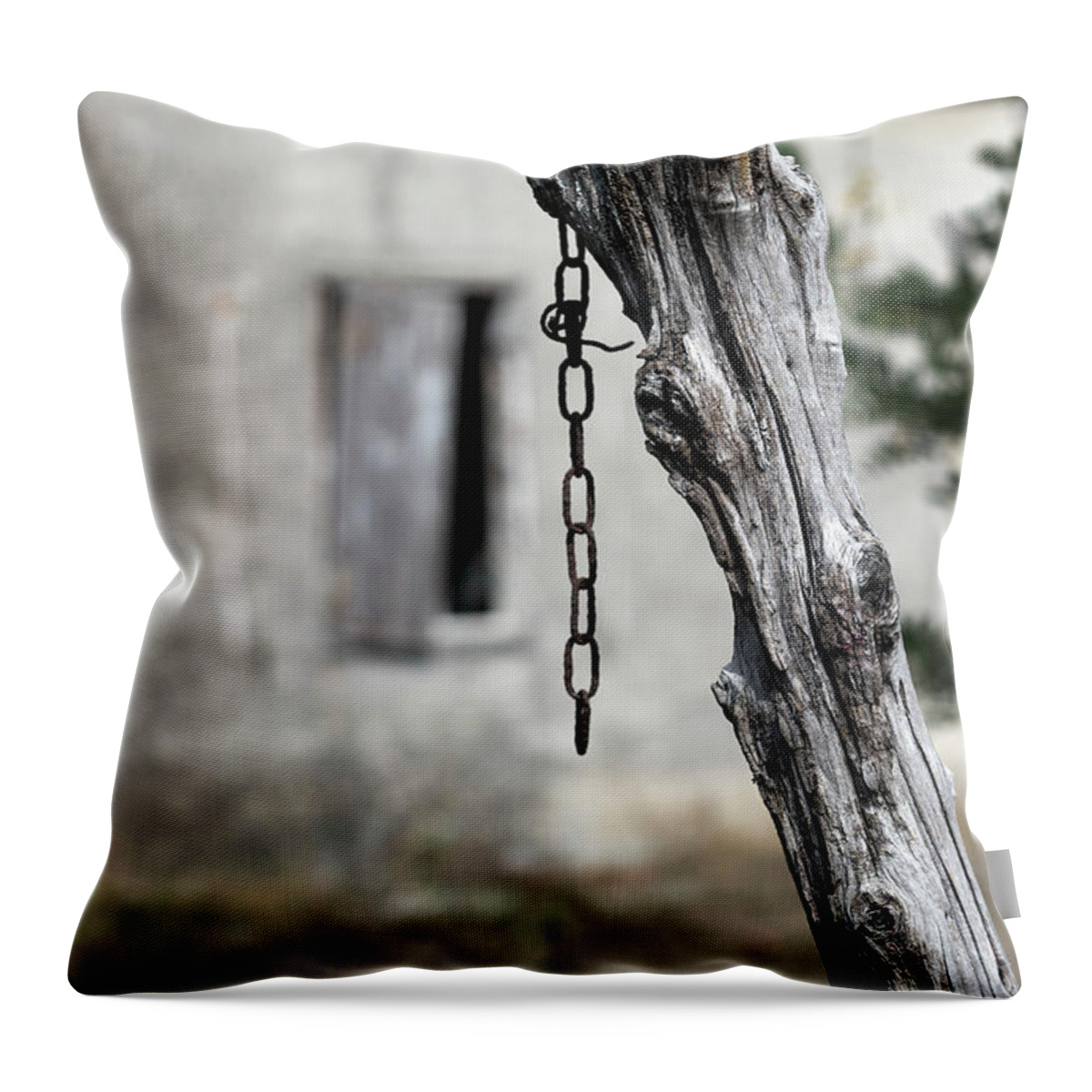 Rural Throw Pillow featuring the photograph Omen by Helga Novelli