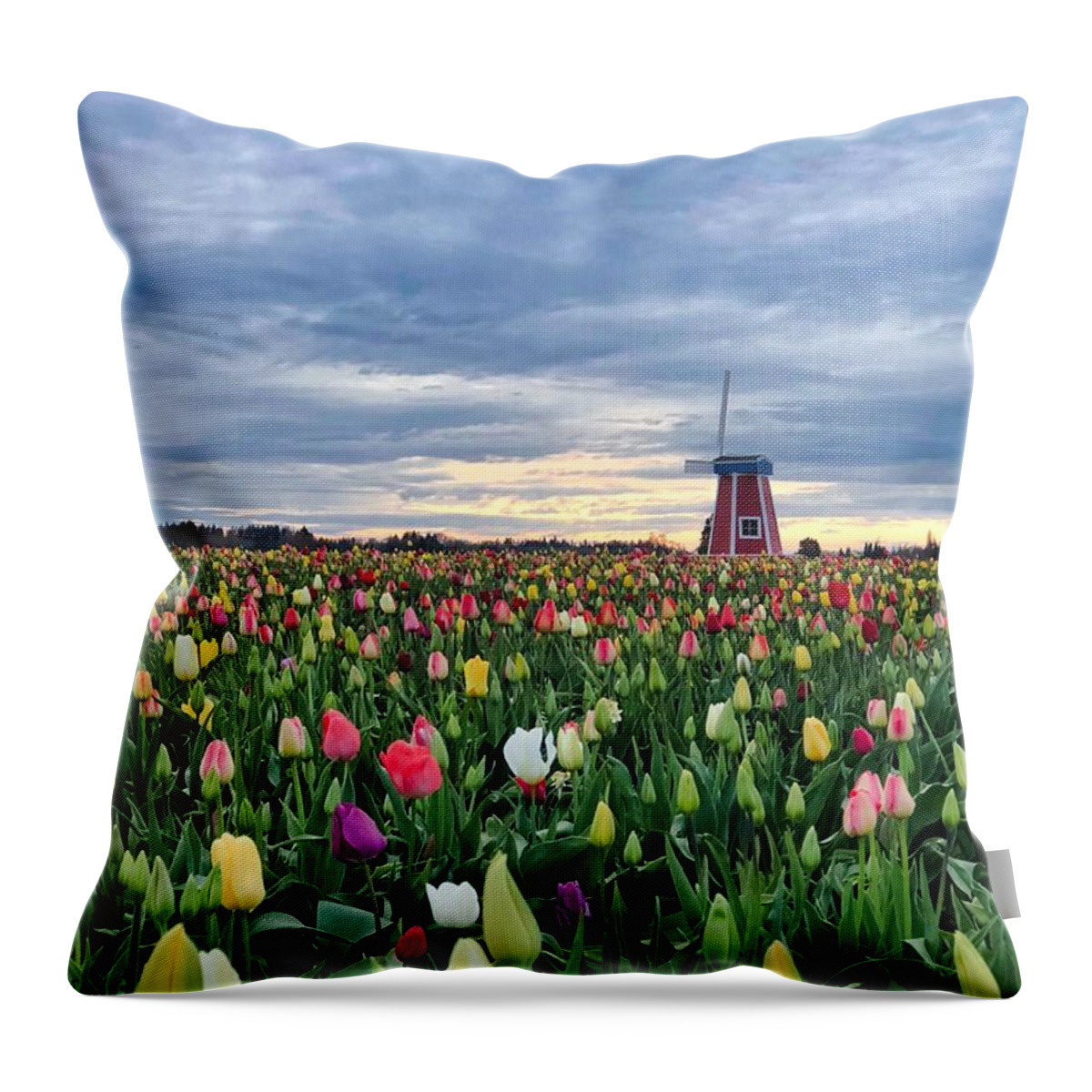 Tulip Throw Pillow featuring the photograph Ominous Spring Skies by Brian Eberly