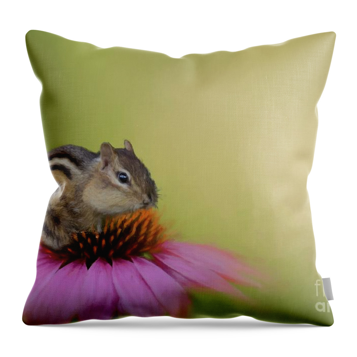 Chipmunk Throw Pillow featuring the photograph On a Lovely Place by Eva Lechner