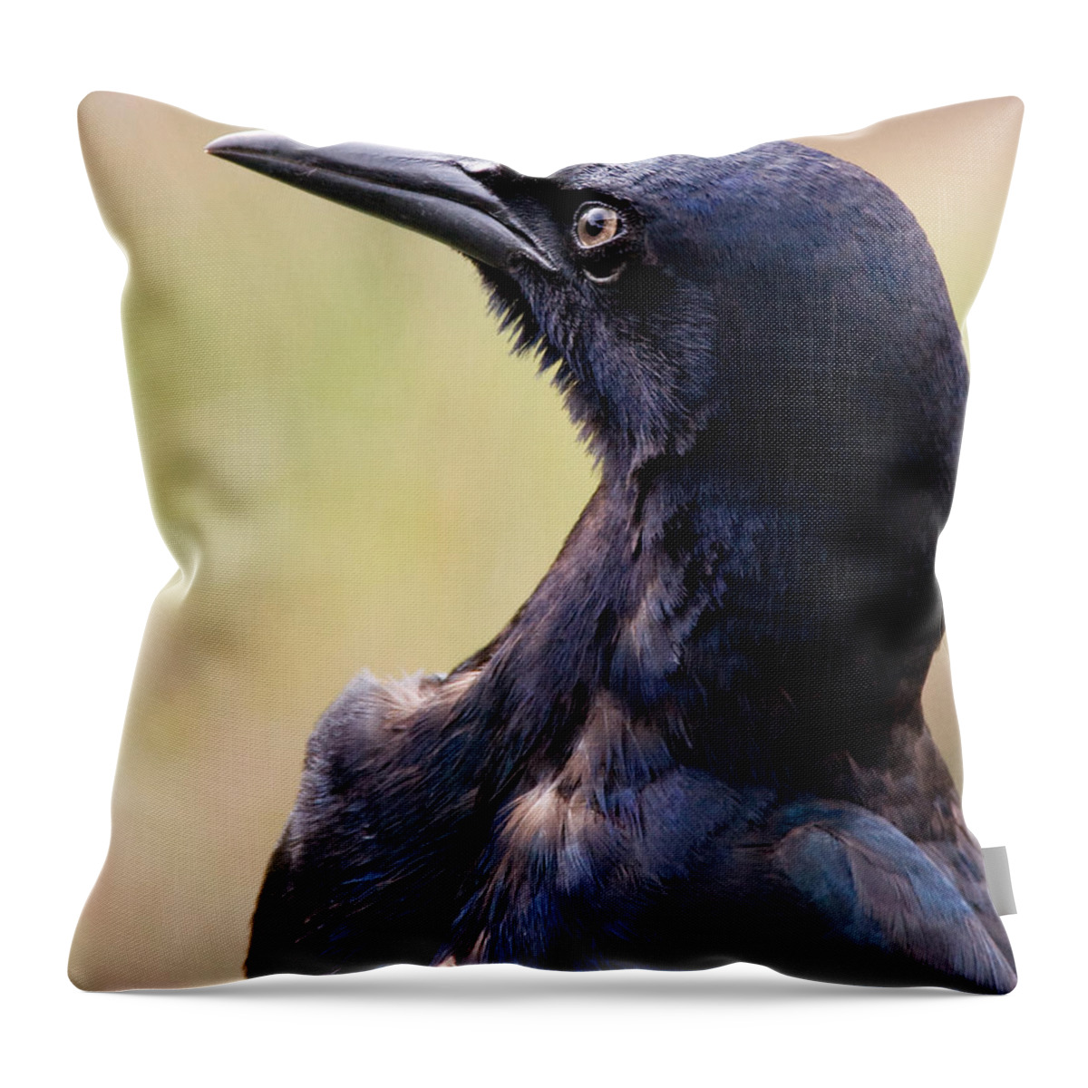 Bird Throw Pillow featuring the photograph On Alert by Christopher Holmes