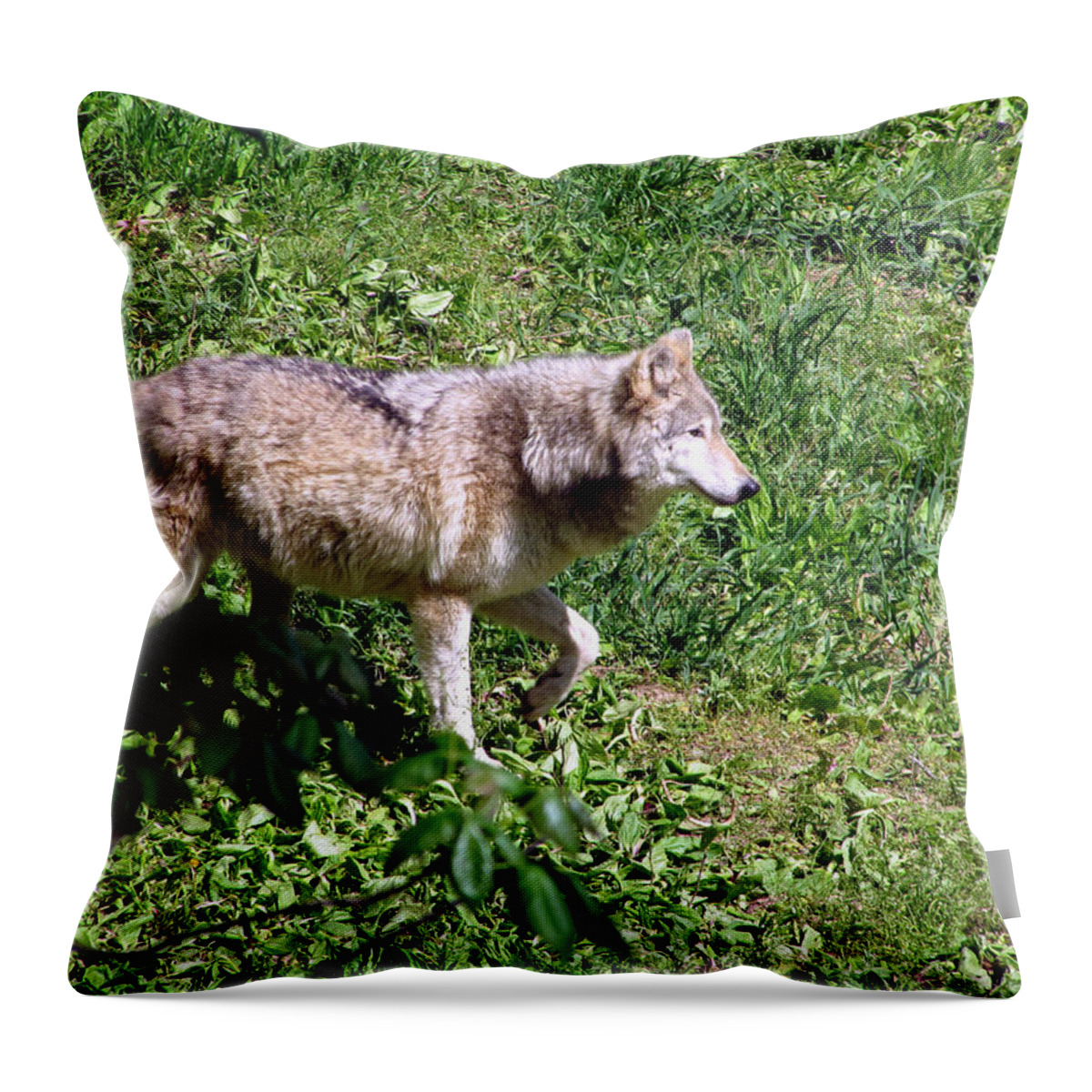 Wolf Throw Pillow featuring the photograph On Alert by George Jones