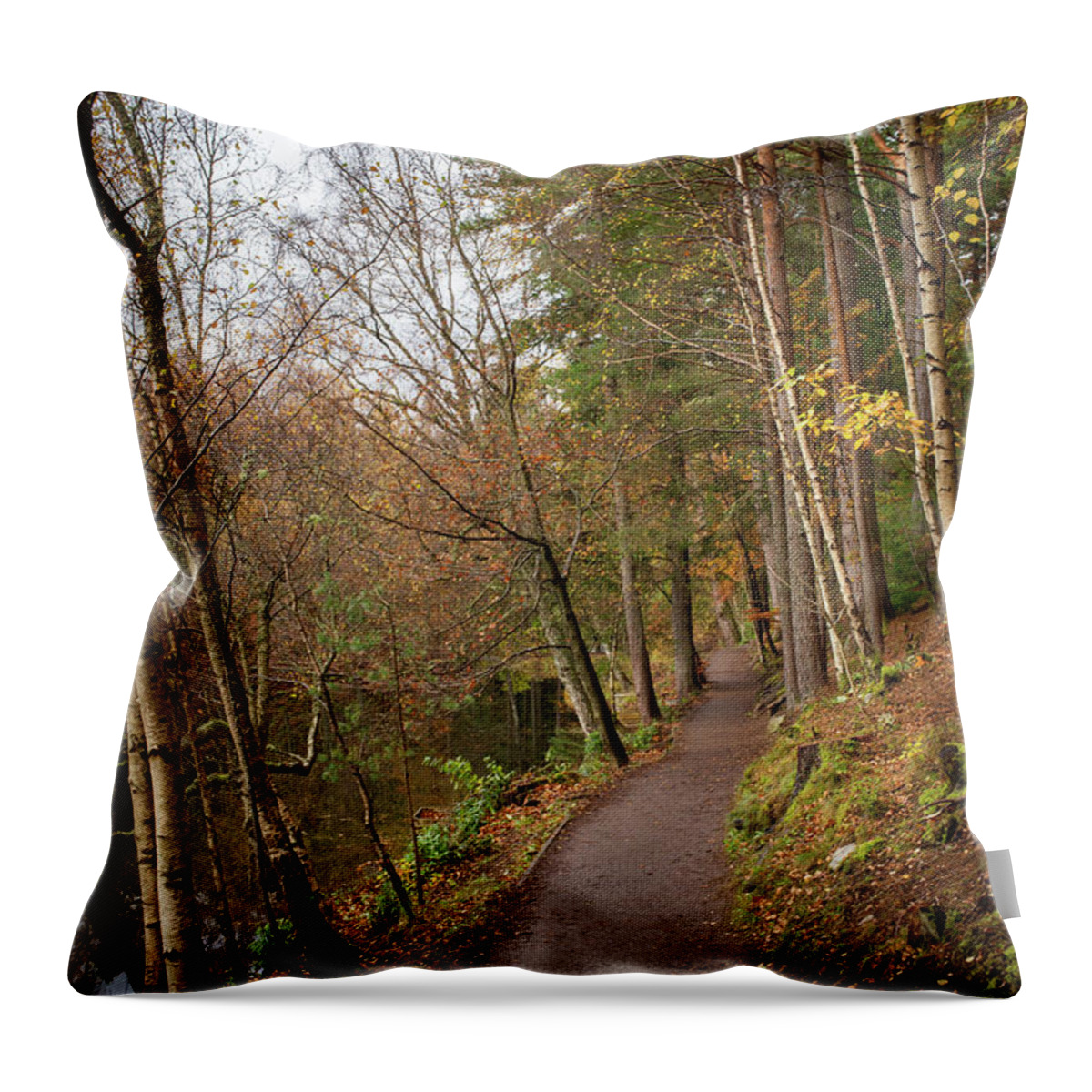 Lake Throw Pillow featuring the photograph On England by Digiblocks Photography