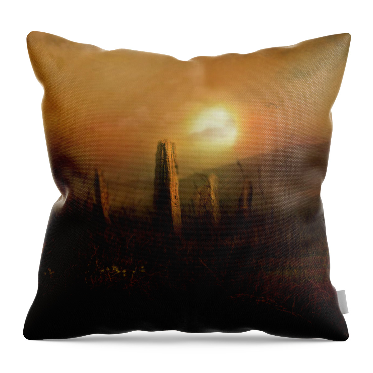  Throw Pillow featuring the photograph On Machrie Moor by Cybele Moon