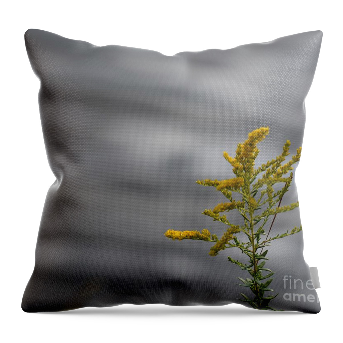 On Silvery Waters Throw Pillow featuring the photograph On Silvery Waters by Maria Urso