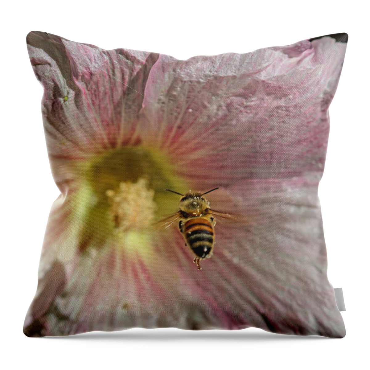 Floral Throw Pillow featuring the photograph On Target by Alana Thrower