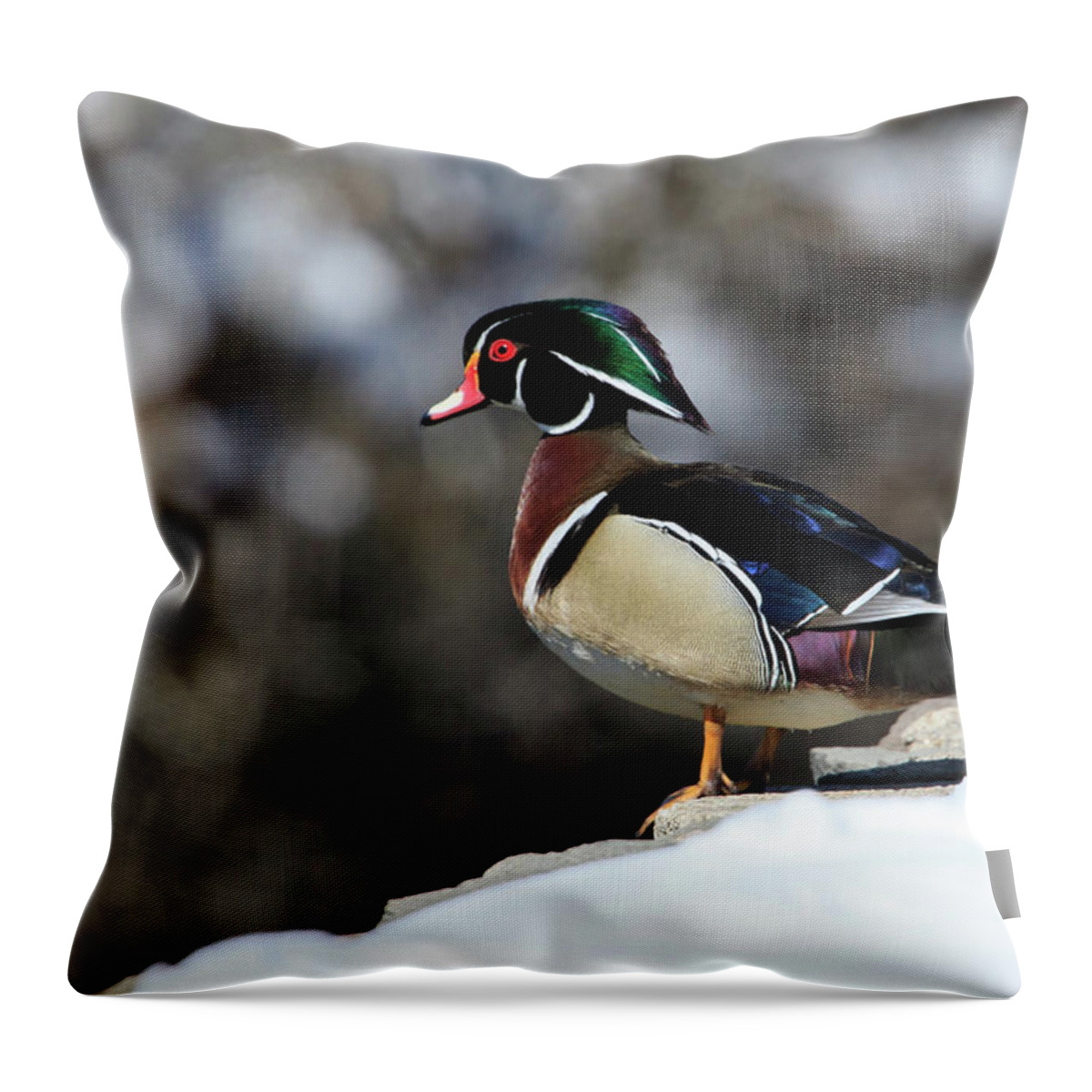 Gary Hall Throw Pillow featuring the photograph On the Brink by Gary Hall