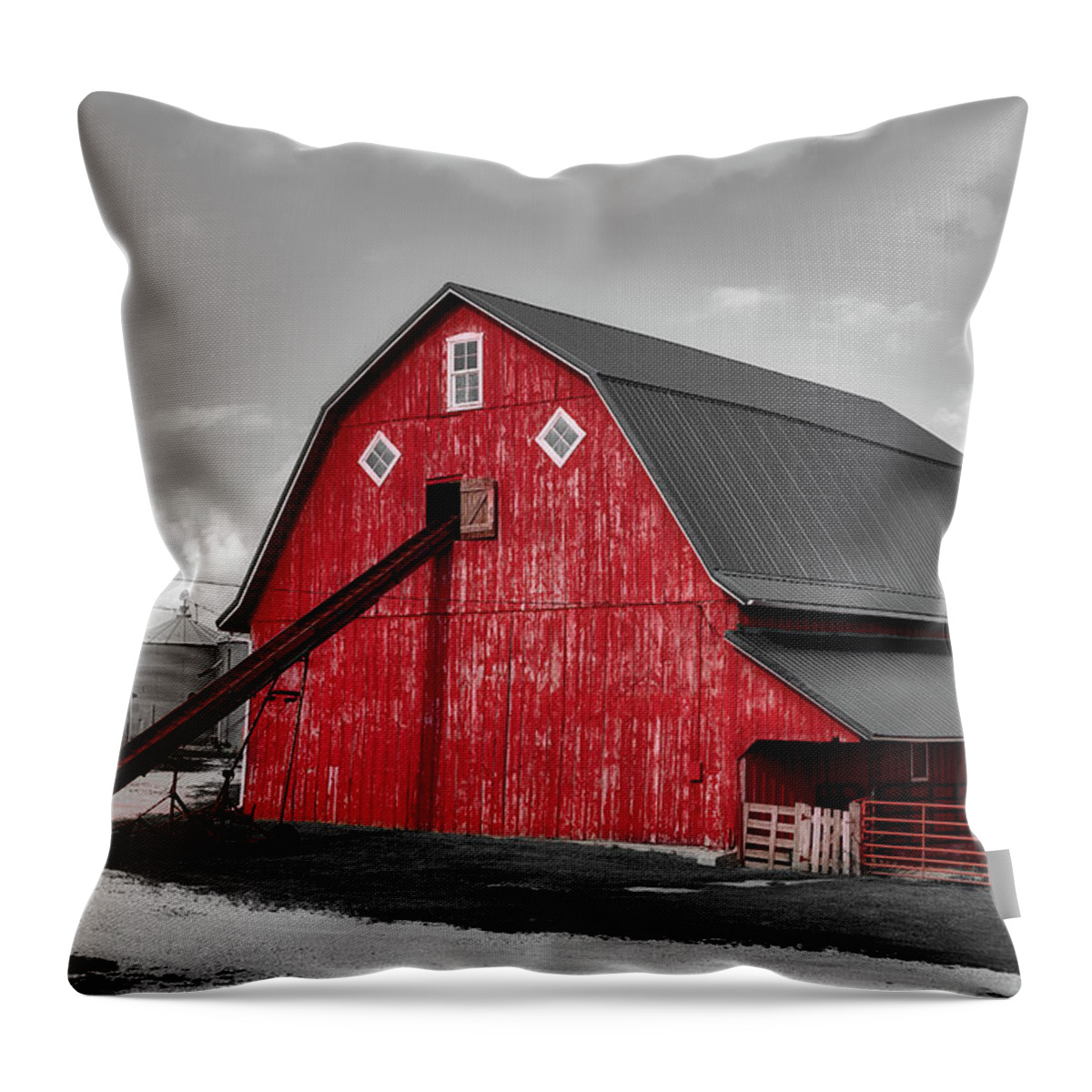 Iowa Throw Pillow featuring the photograph On The Farm In Iowa by Mountain Dreams