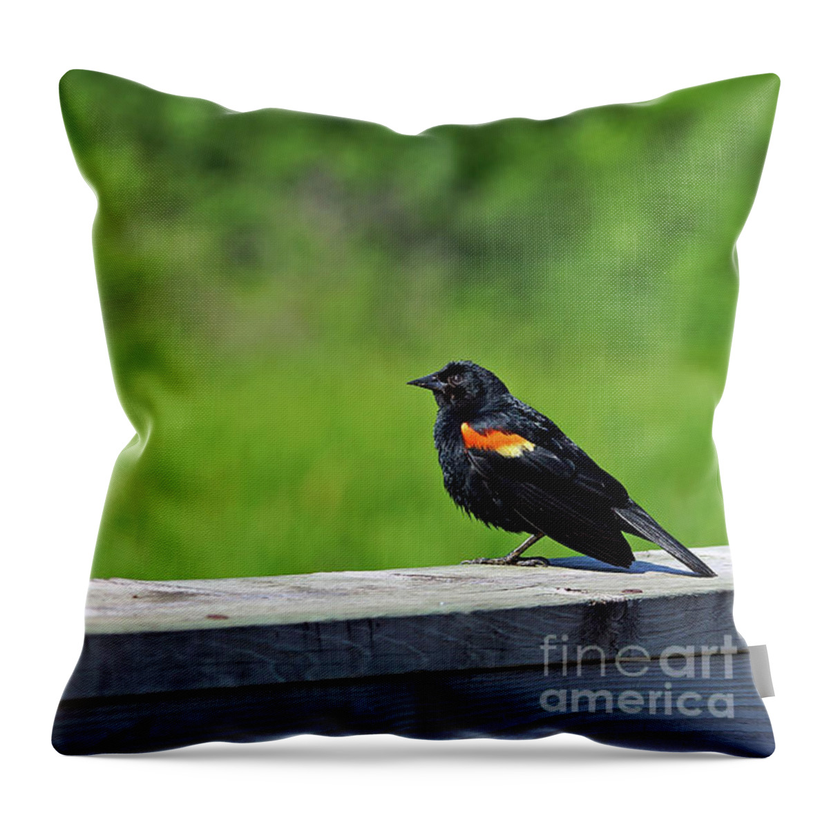 Red Throw Pillow featuring the photograph On the Fence by Robin Clifton