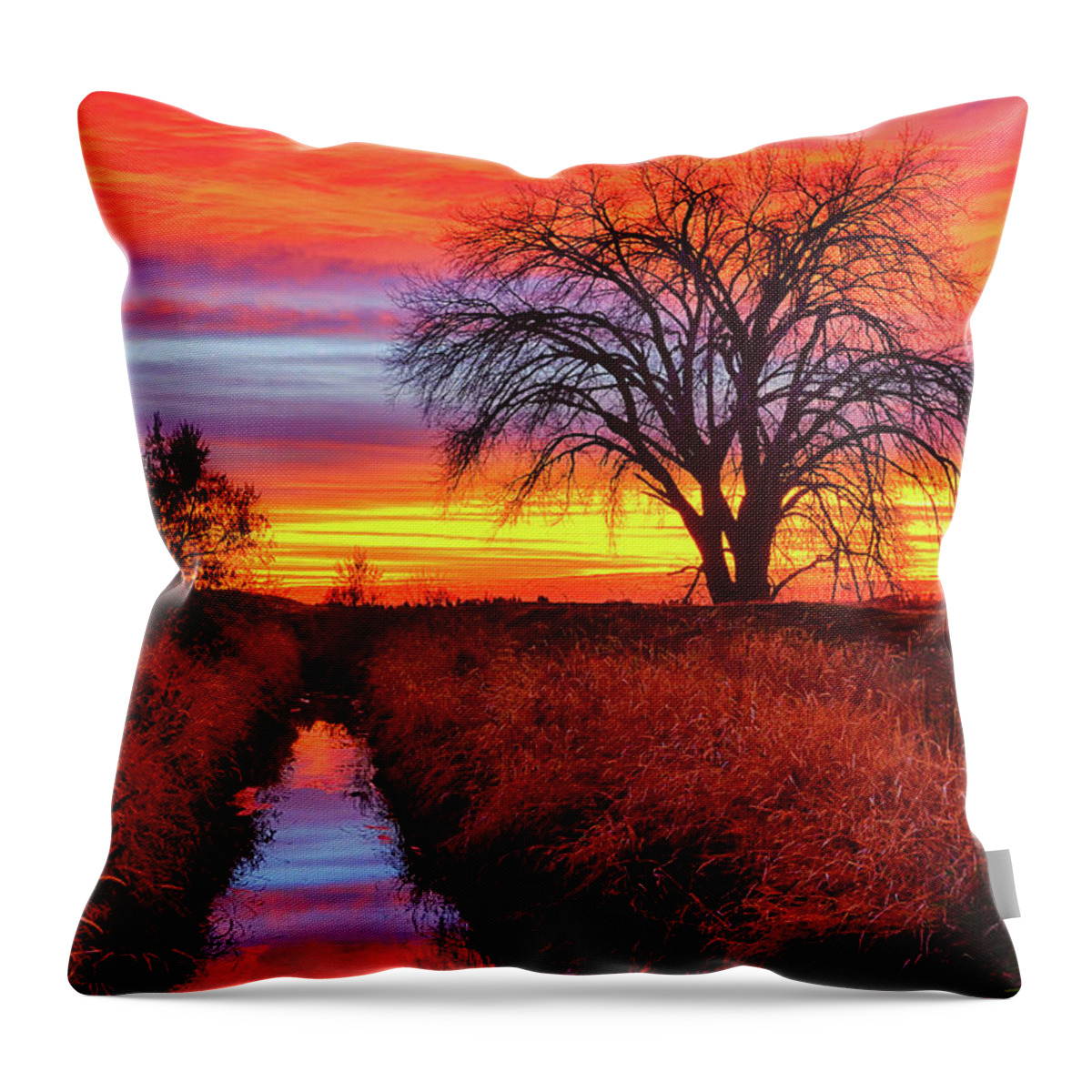 Sunset Throw Pillow featuring the photograph On The Horizon by Greg Norrell