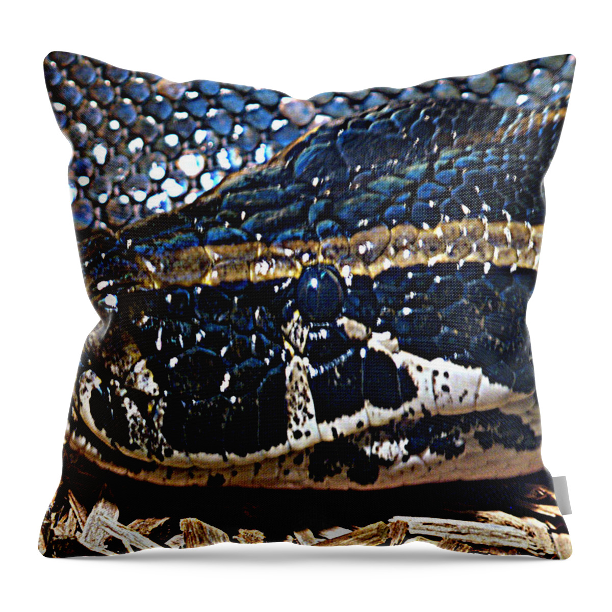 Snake Throw Pillow featuring the photograph On The Hunt by Bob Johnson