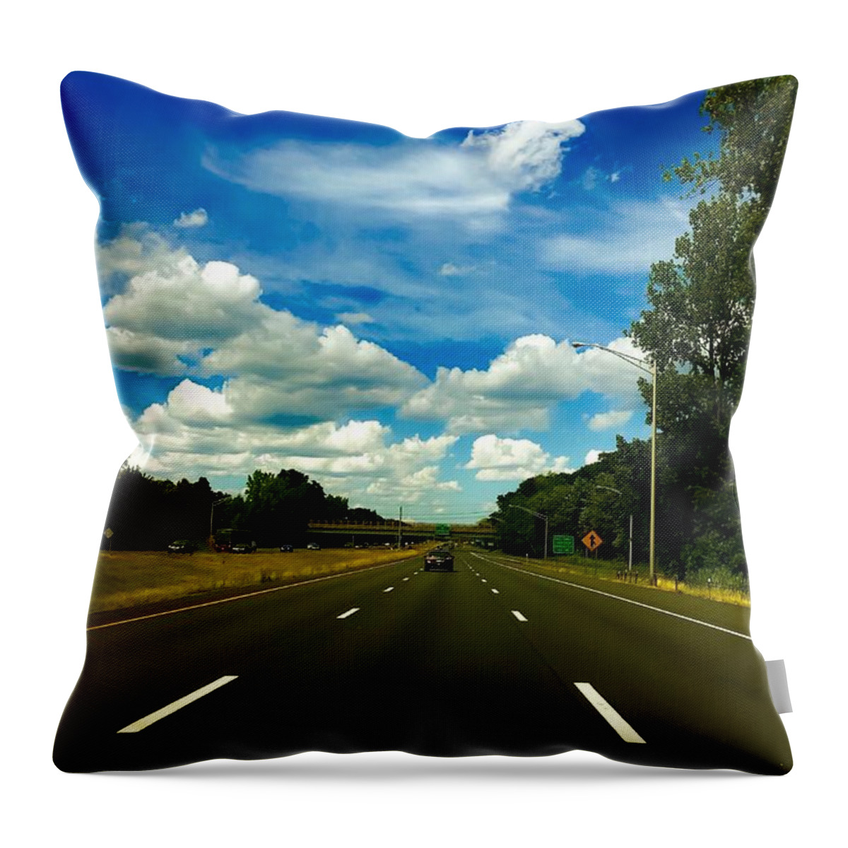Photograph Throw Pillow featuring the photograph On The Road by MaryLee Parker
