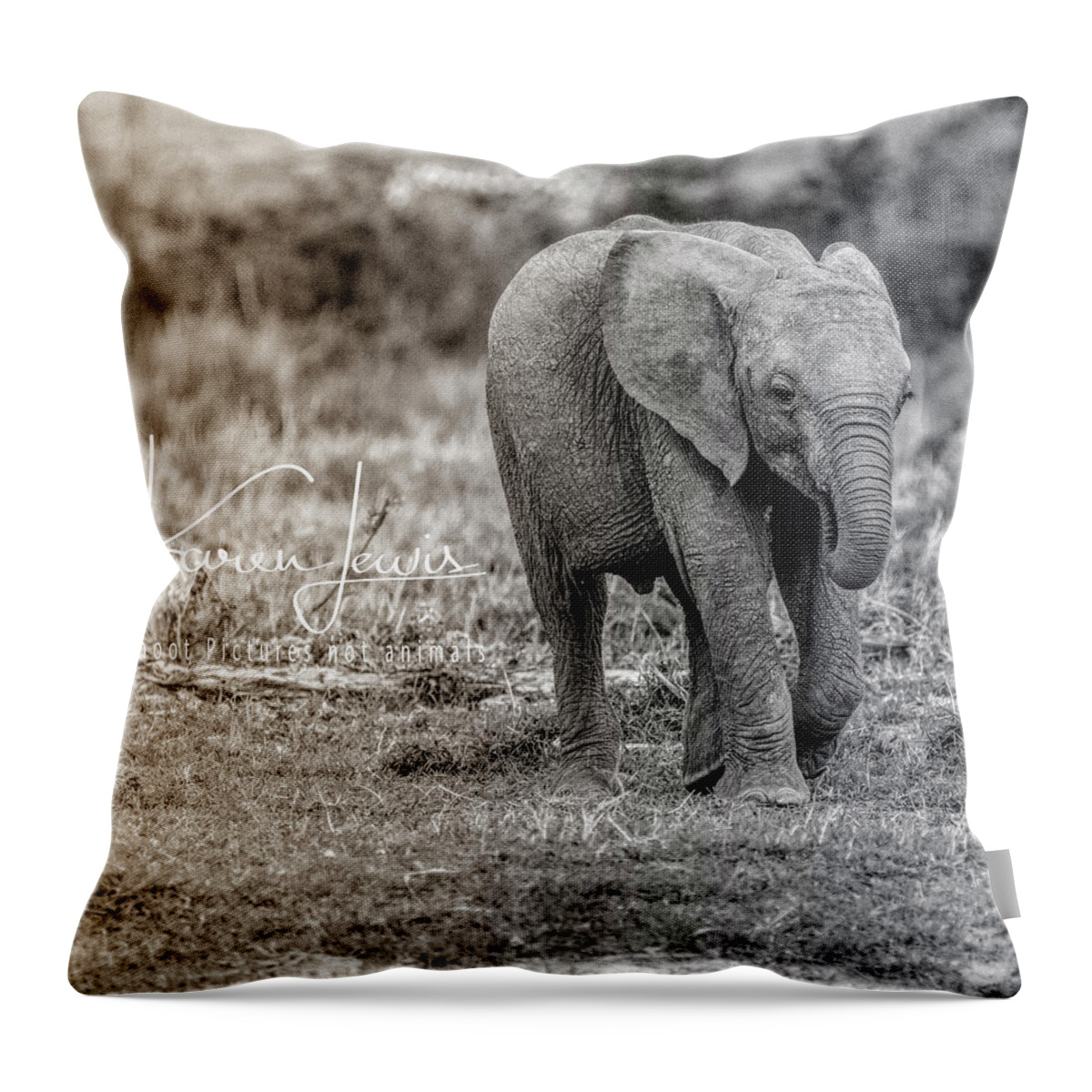 #baby #elephant #onetherun #running #cute #adorable #sweet #innocent #africa #masaimara #kenya #shootpicturesnotelephants Throw Pillow featuring the photograph On the Run by Karen Lewis