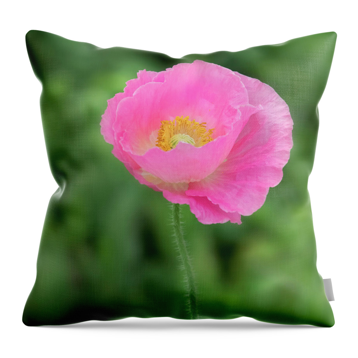 Poppy Throw Pillow featuring the photograph On the runway. by Usha Peddamatham