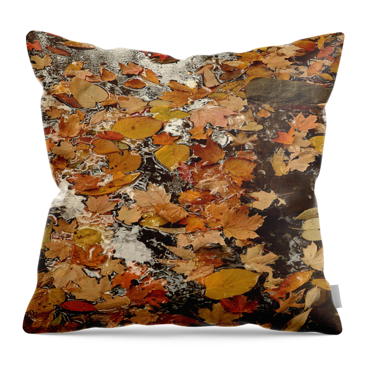 Nature Throw Pillow featuring the photograph On the Water by Michael McGowan