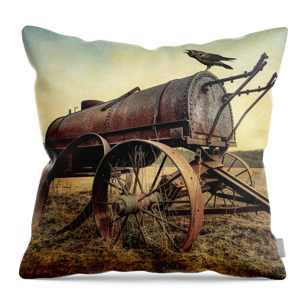 Water Wagon Throw Pillow featuring the photograph On the Water Wagon - Agricultural Relic by Gary Heller