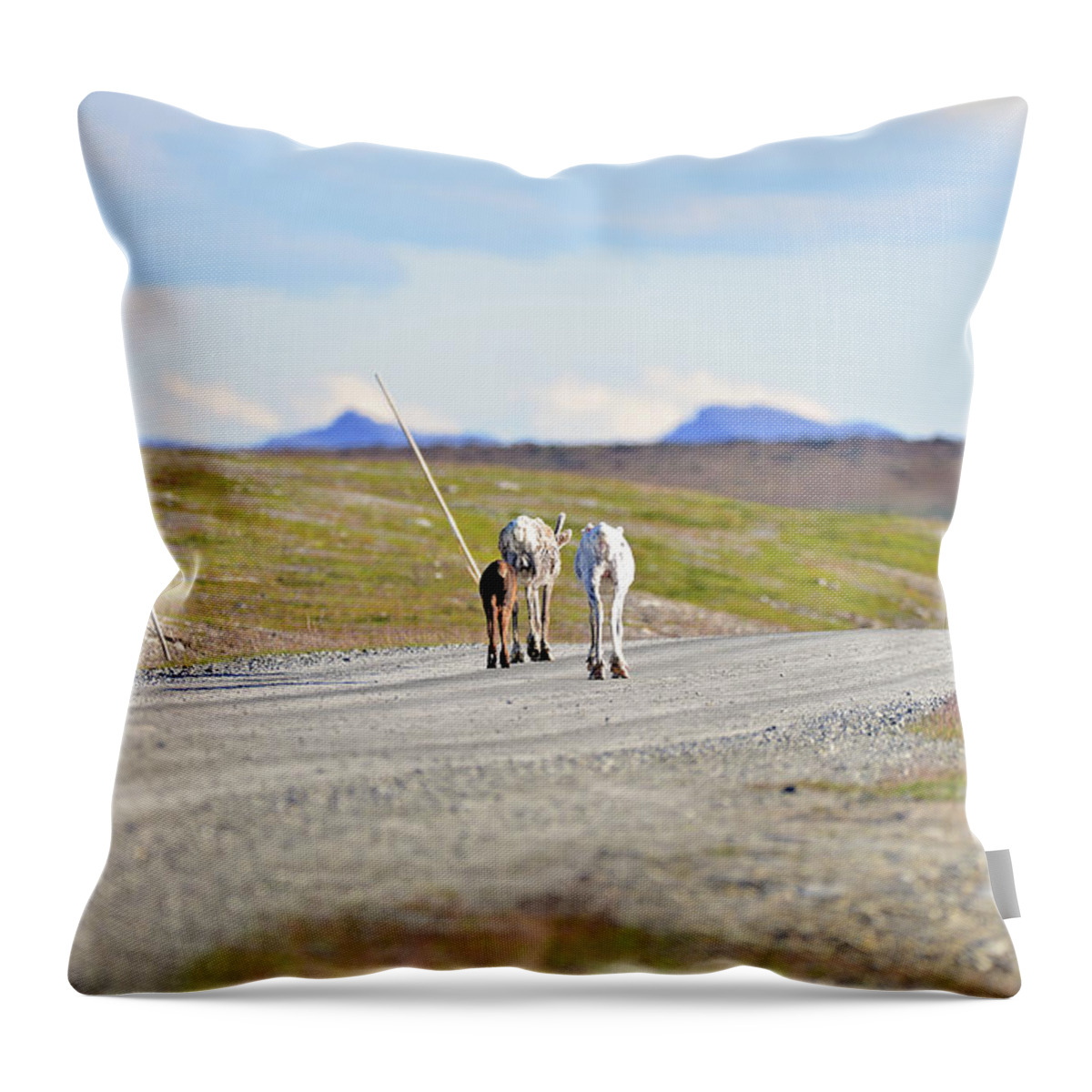 Sweden Throw Pillow featuring the pyrography On the way by Magnus Haellquist
