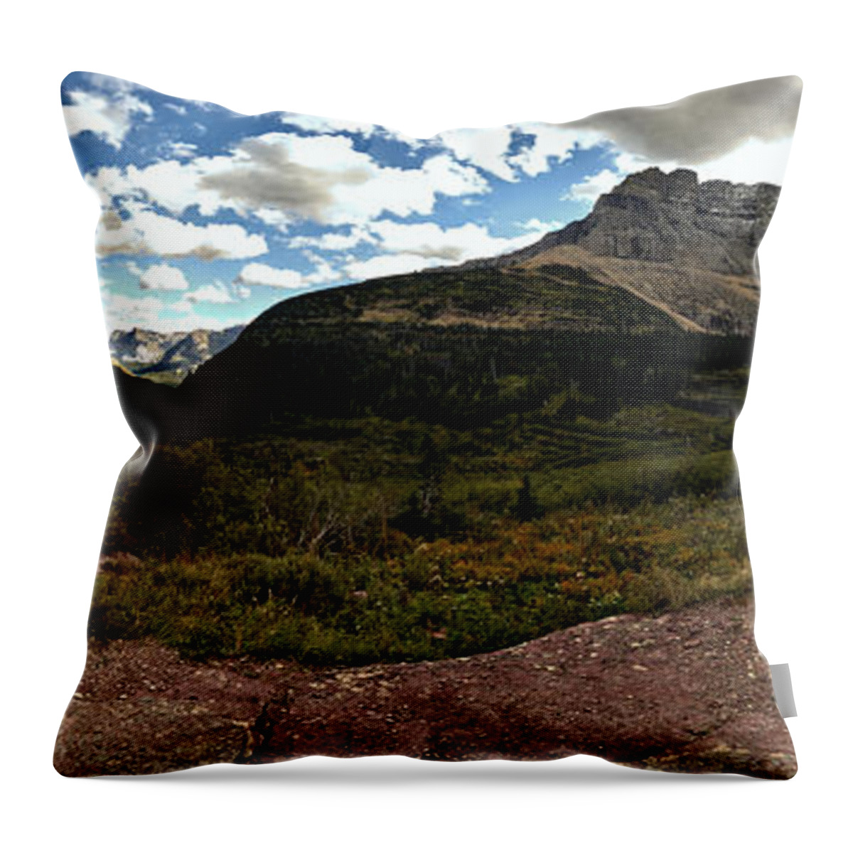  Throw Pillow featuring the photograph On The Way To Iceberg - Panorama by Adam Jewell