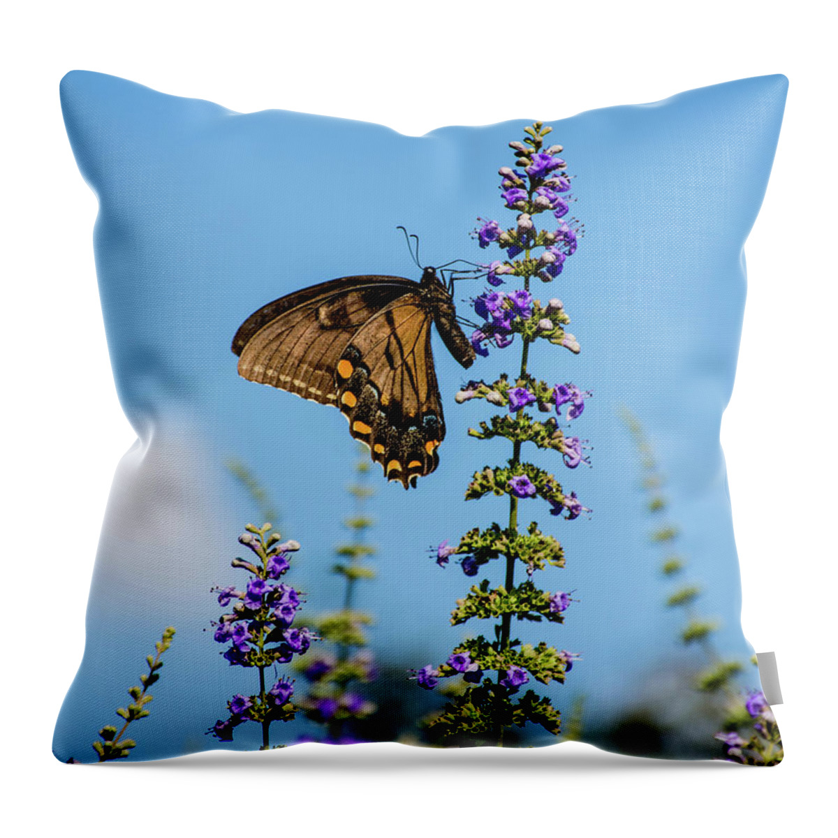Nature Throw Pillow featuring the photograph On Tiptoes by Rebecca Higgins