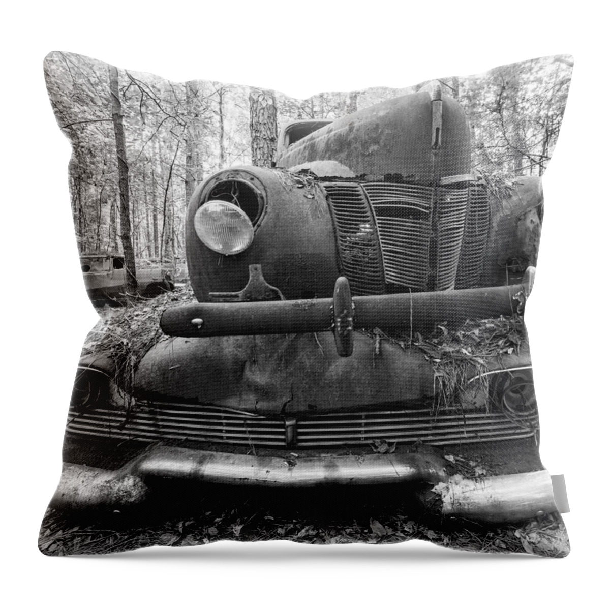 Old Throw Pillow featuring the photograph On Top by Alan Raasch