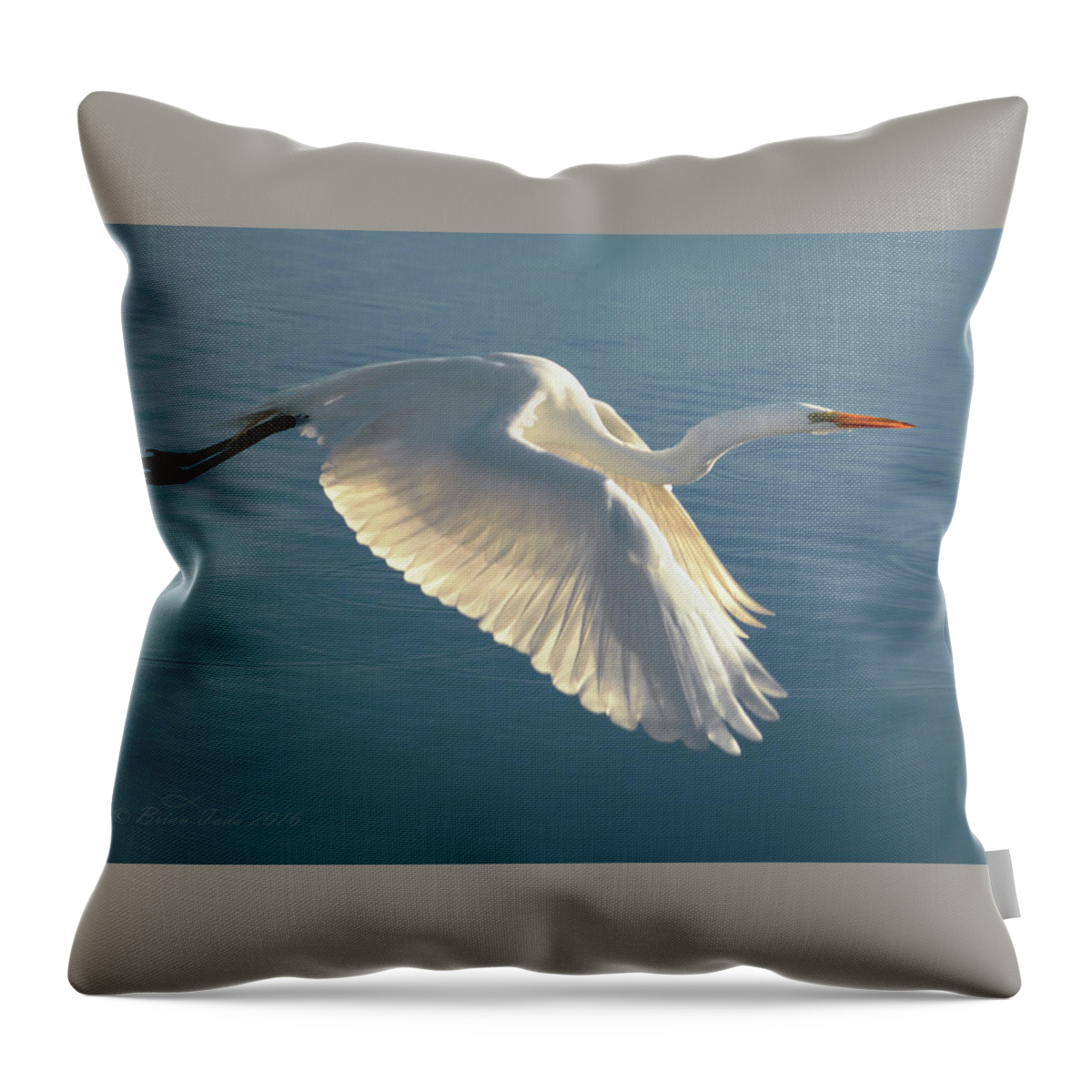 Wildlife Throw Pillow featuring the photograph On Wings of Splendor by Brian Tada