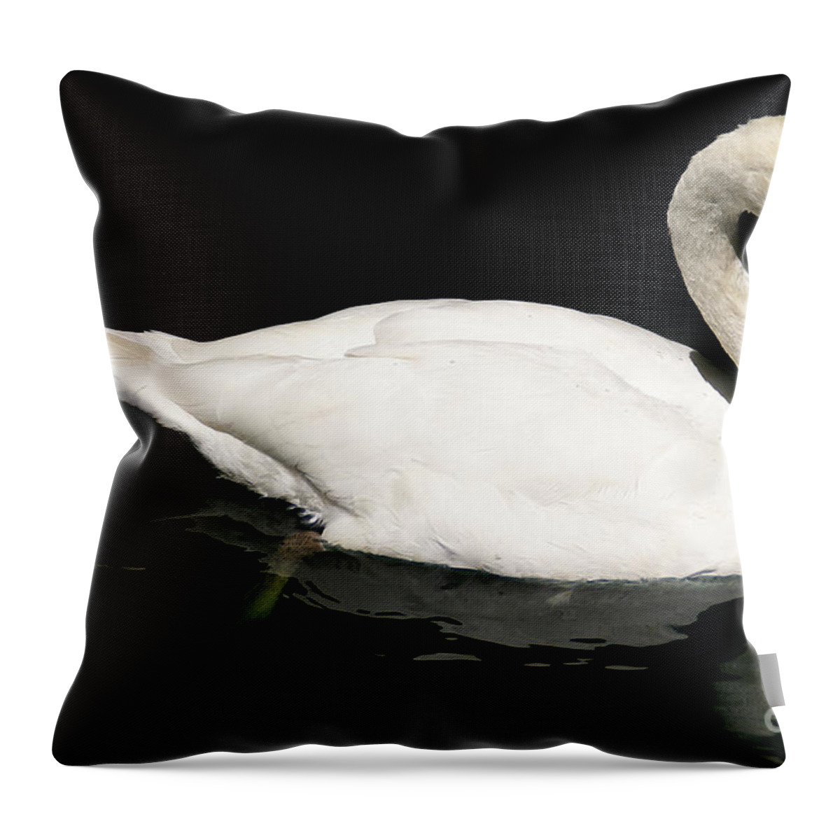Swan Throw Pillow featuring the photograph Once Upon Reflection by Linda Shafer