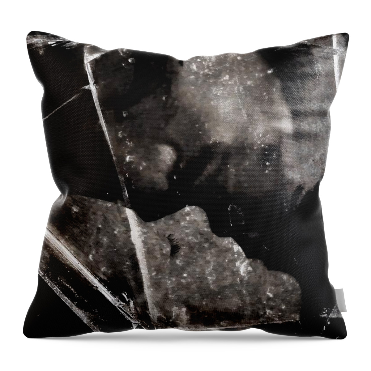 Man Throw Pillow featuring the digital art Once we had a dream by Gun Legler