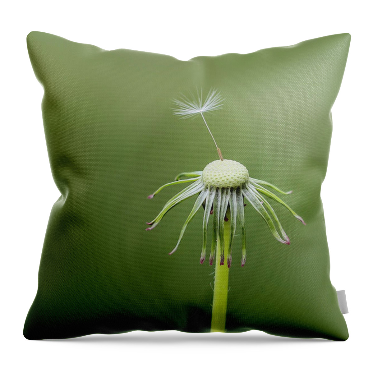 Abstract Throw Pillow featuring the photograph One dandy by Bess Hamiti