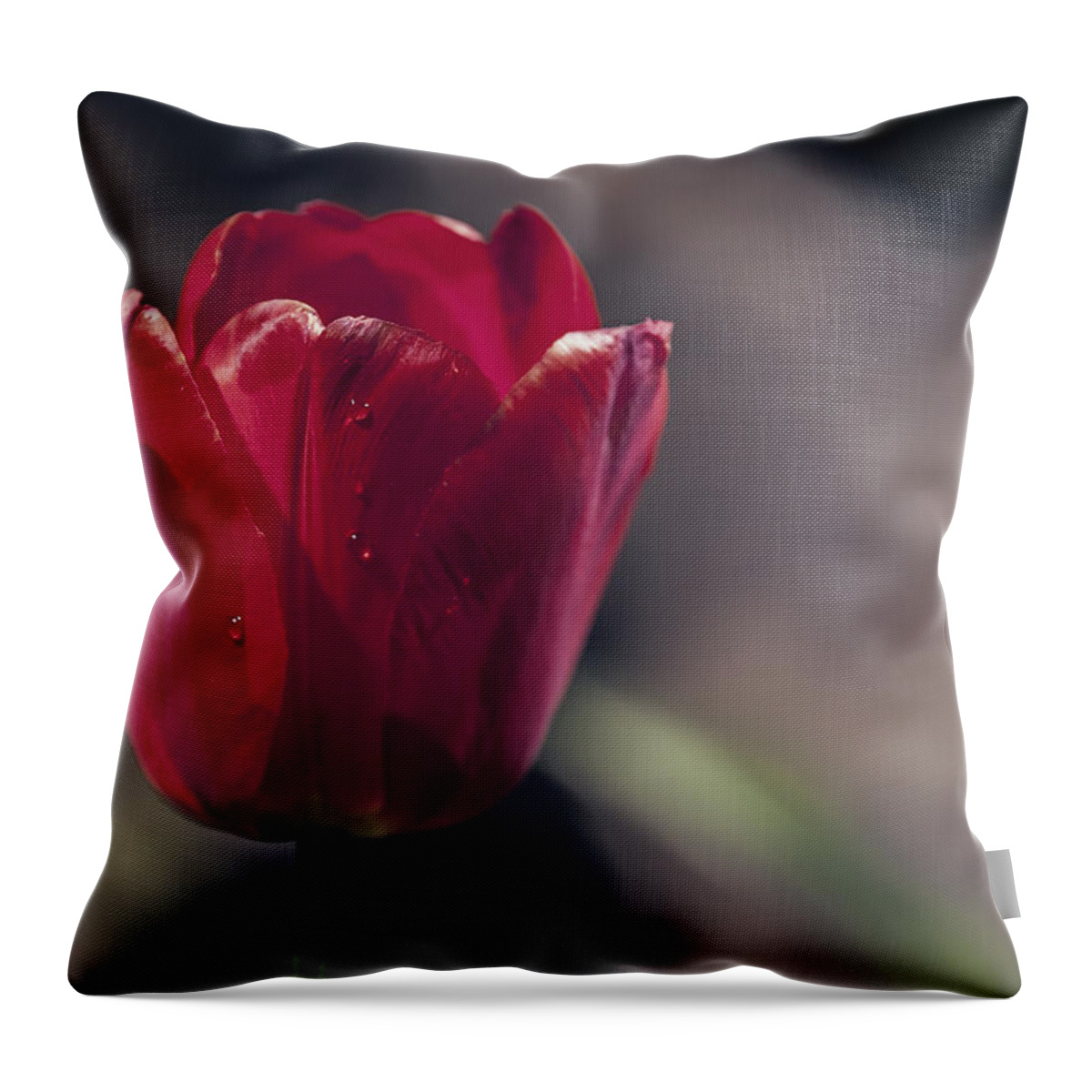 Red Throw Pillow featuring the photograph one by Edward Kreis
