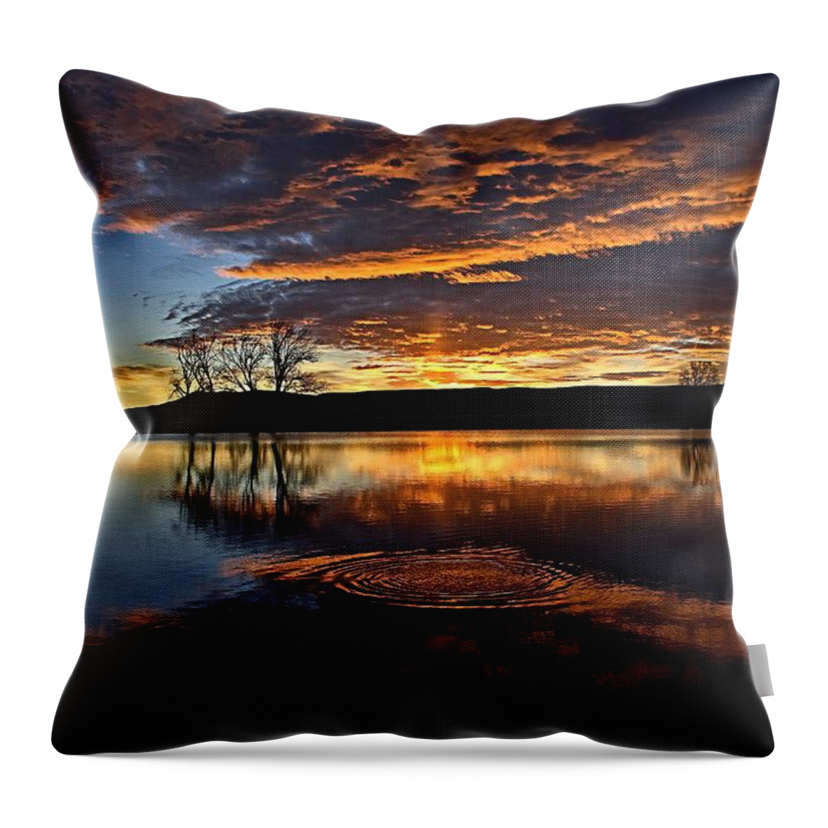 Sunrise Throw Pillow featuring the photograph One Fish Jumps by Fiskr Larsen