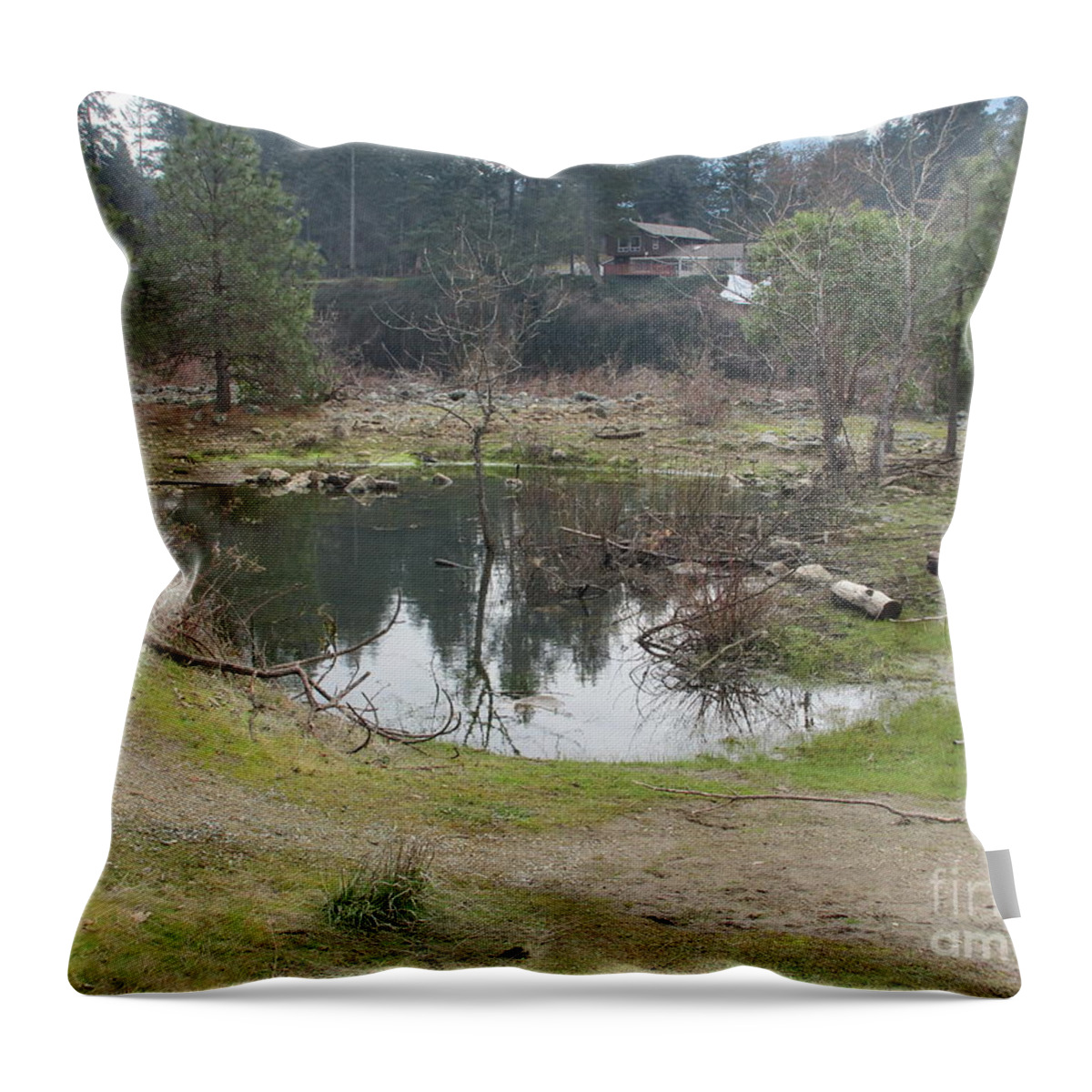 Goose Throw Pillow featuring the photograph One goose, one pond and one sheet by Marie Neder