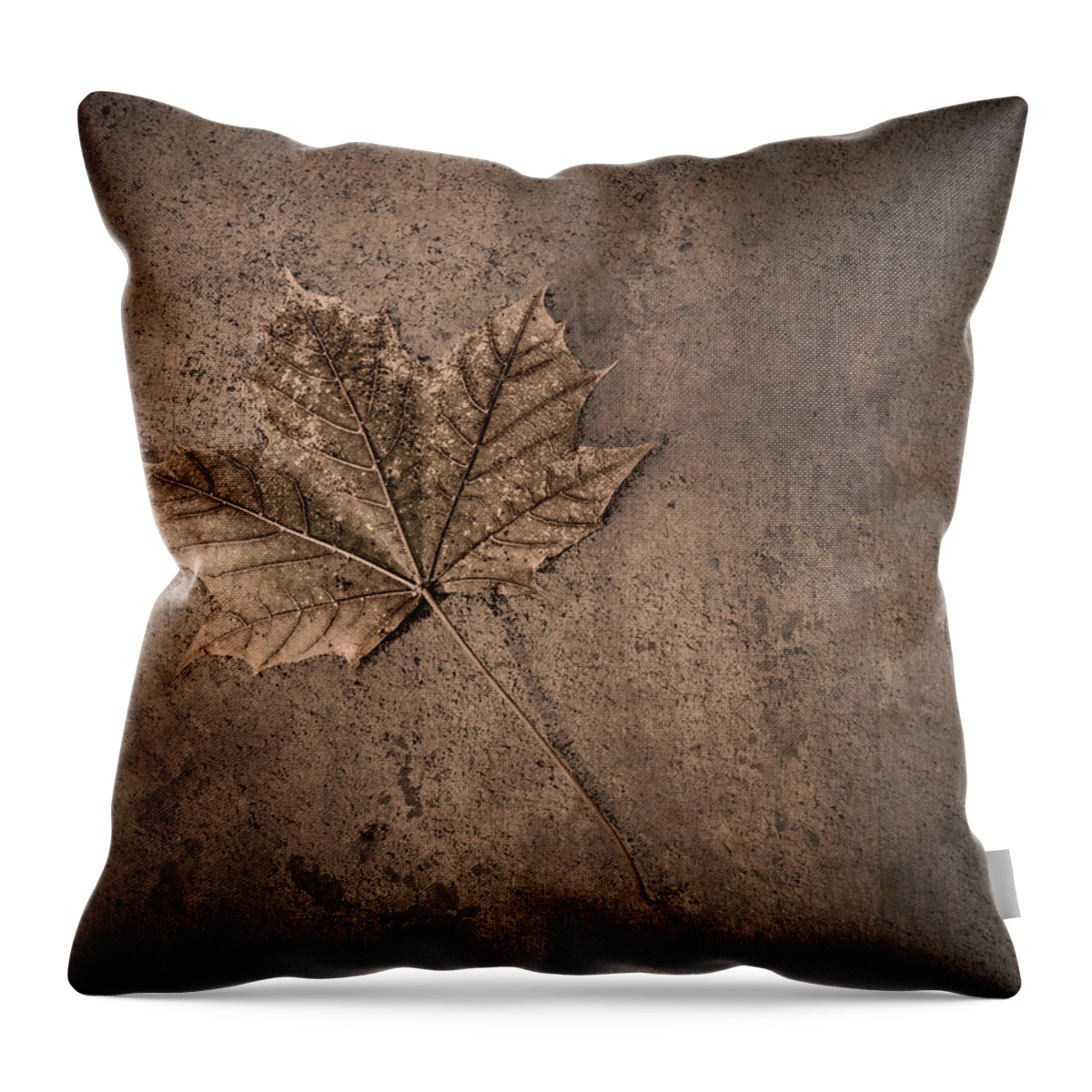 Scott Norris Photography Throw Pillow featuring the photograph One Leaf December 1st by Scott Norris