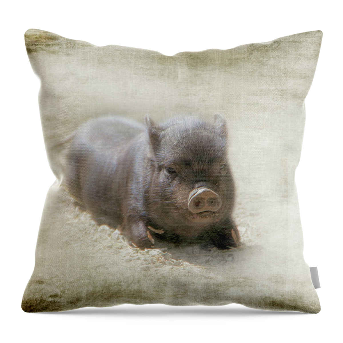 Pig Throw Pillow featuring the photograph One Little Piggy by Marilyn Wilson