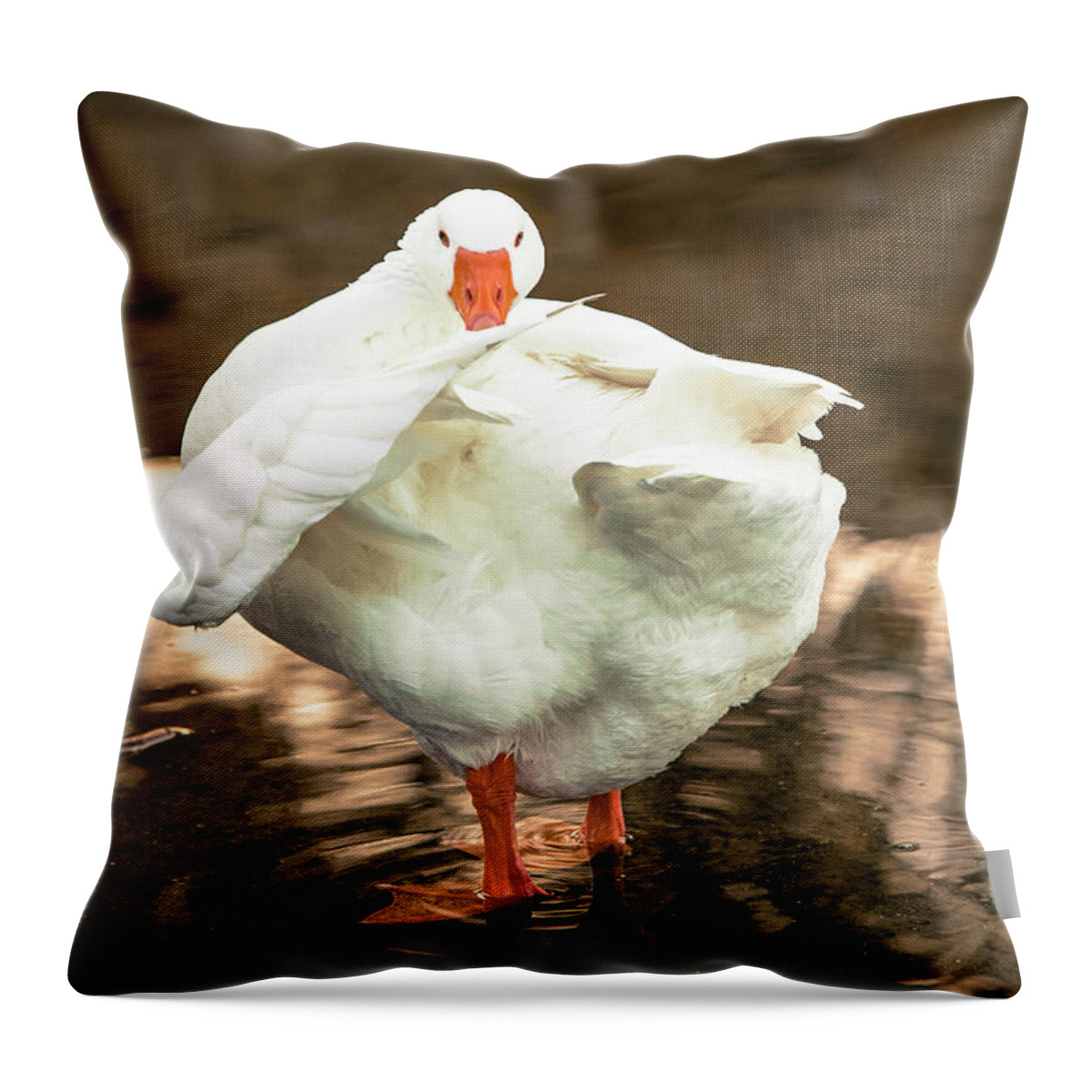 Photograph Throw Pillow featuring the photograph One Million Dollars by Jason Hughes