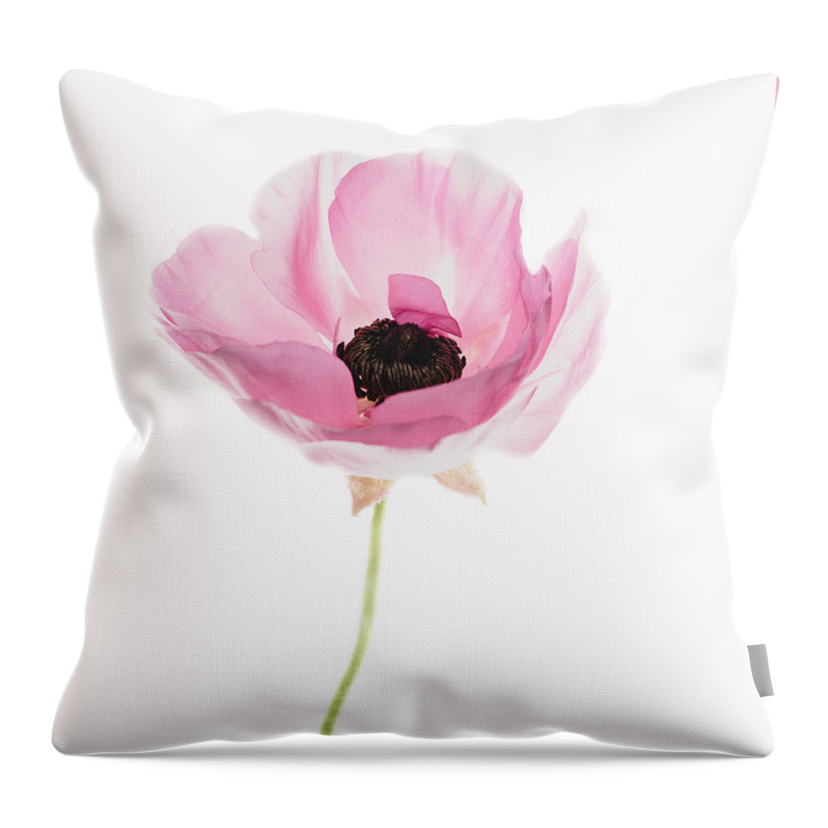 Ranunculus Throw Pillow featuring the photograph One Pink Beauty by Rebecca Cozart