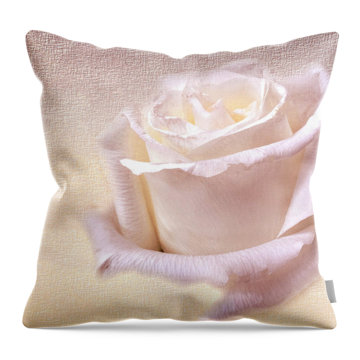 Flower Throw Pillow featuring the photograph One rose is enough for the dawn by Ches Black