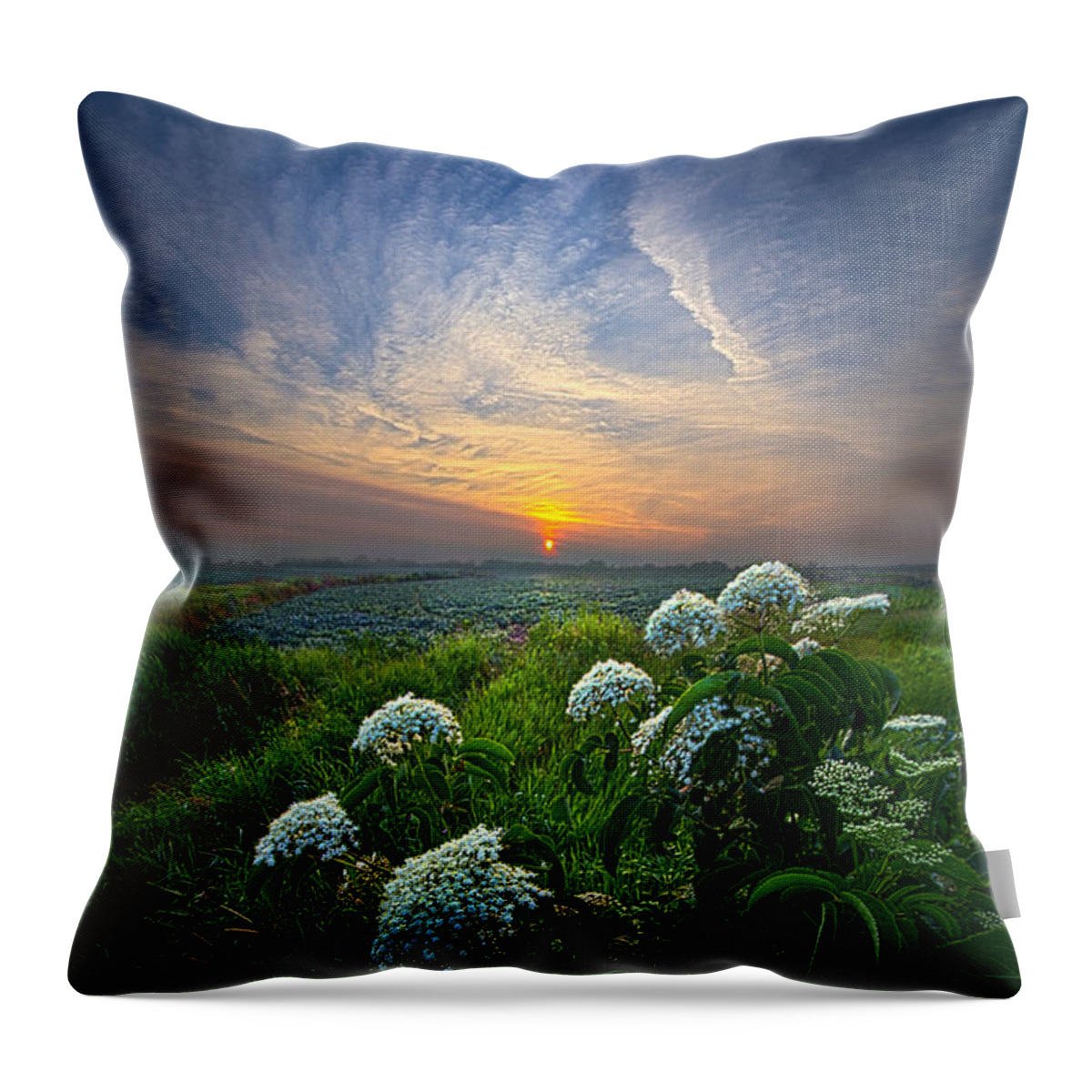 Flowers Throw Pillow featuring the photograph One Small Step by Phil Koch