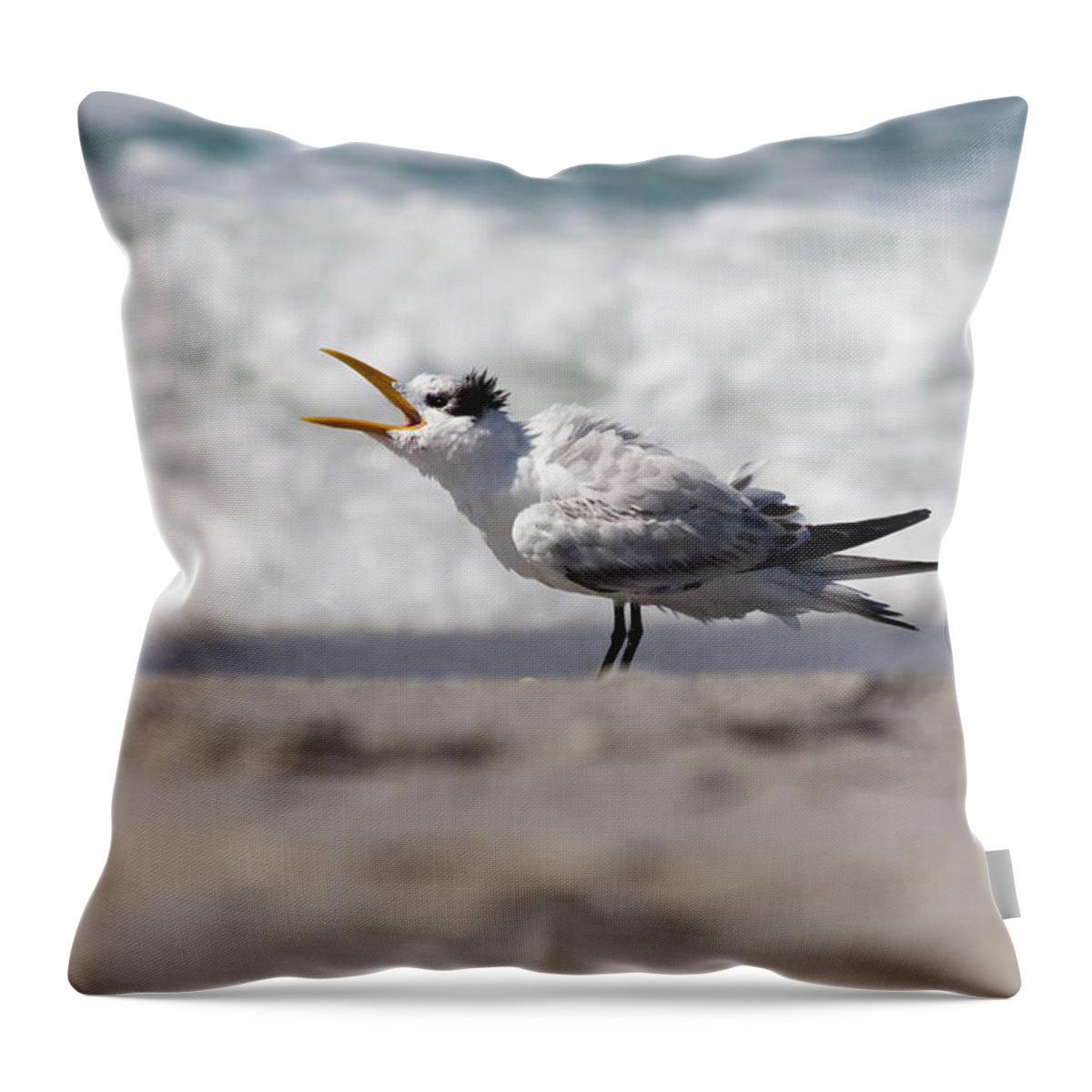 Tern Throw Pillow featuring the photograph One Upset Royal Tern by Bonnie Anderson