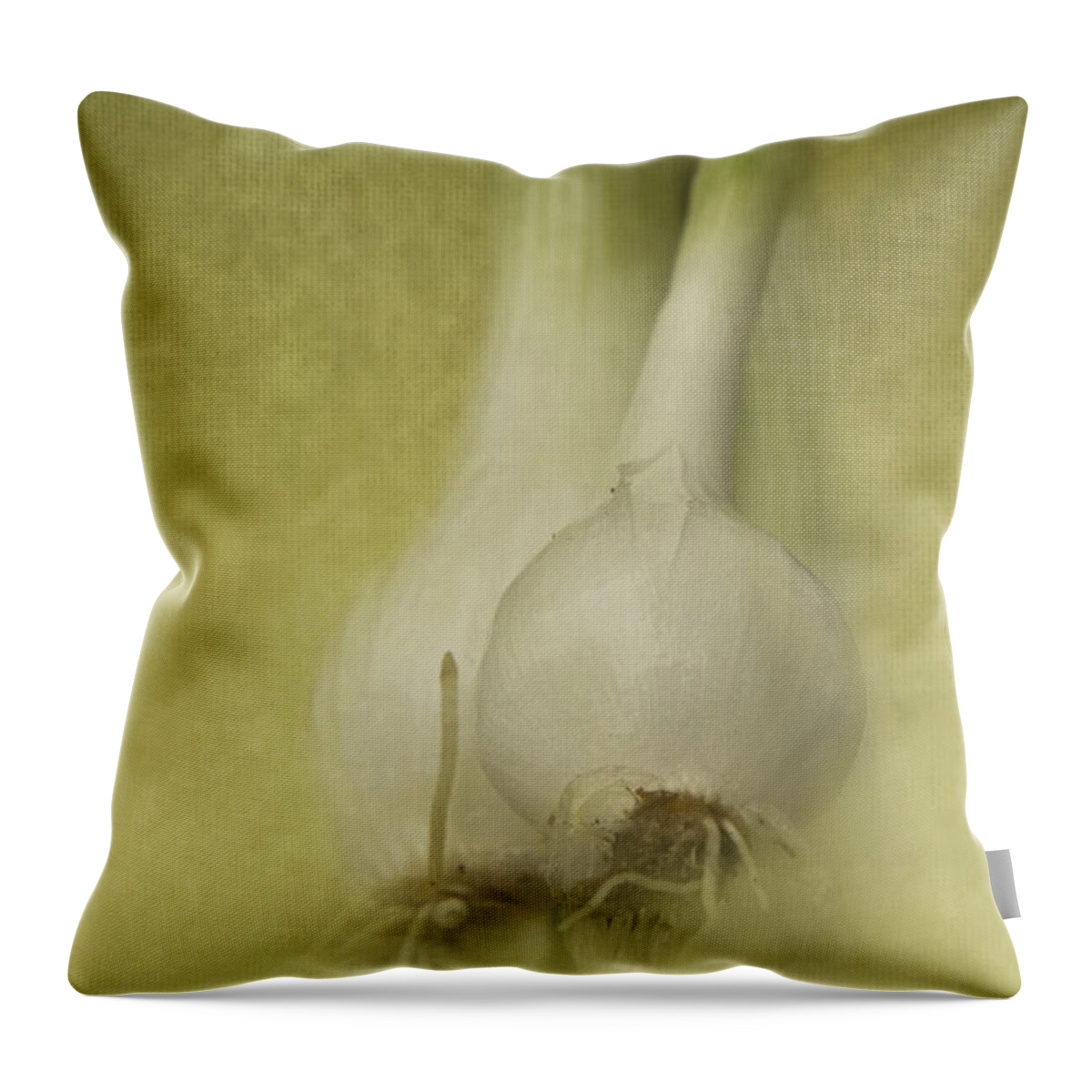 Onion Throw Pillow featuring the photograph Onions by Pam Holdsworth
