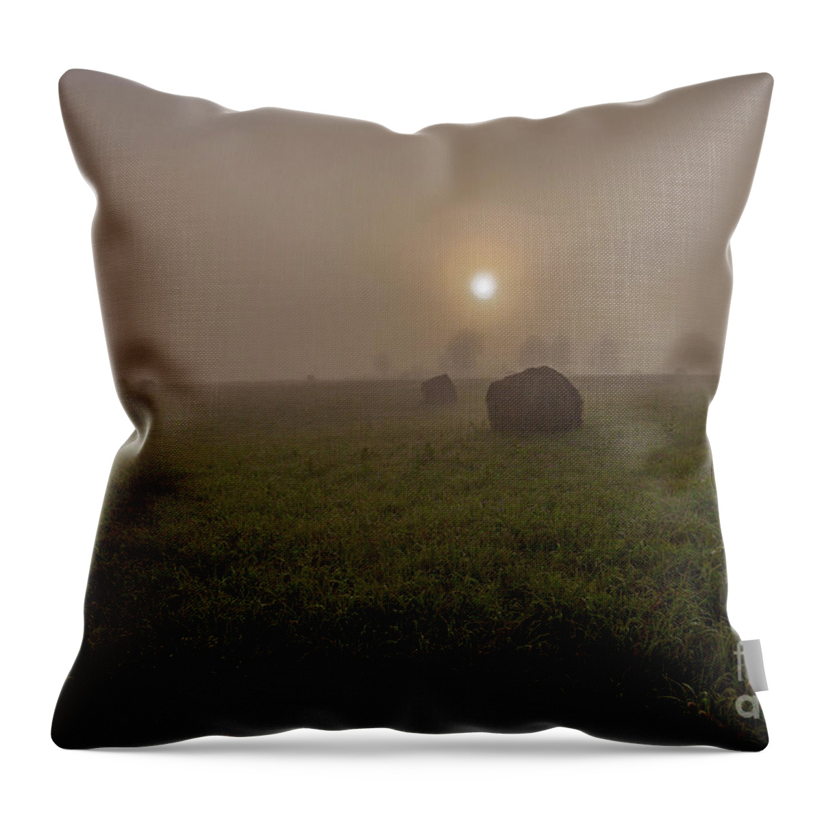 Addington Throw Pillow featuring the photograph Ontario Highlands Dawn by Roger Monahan