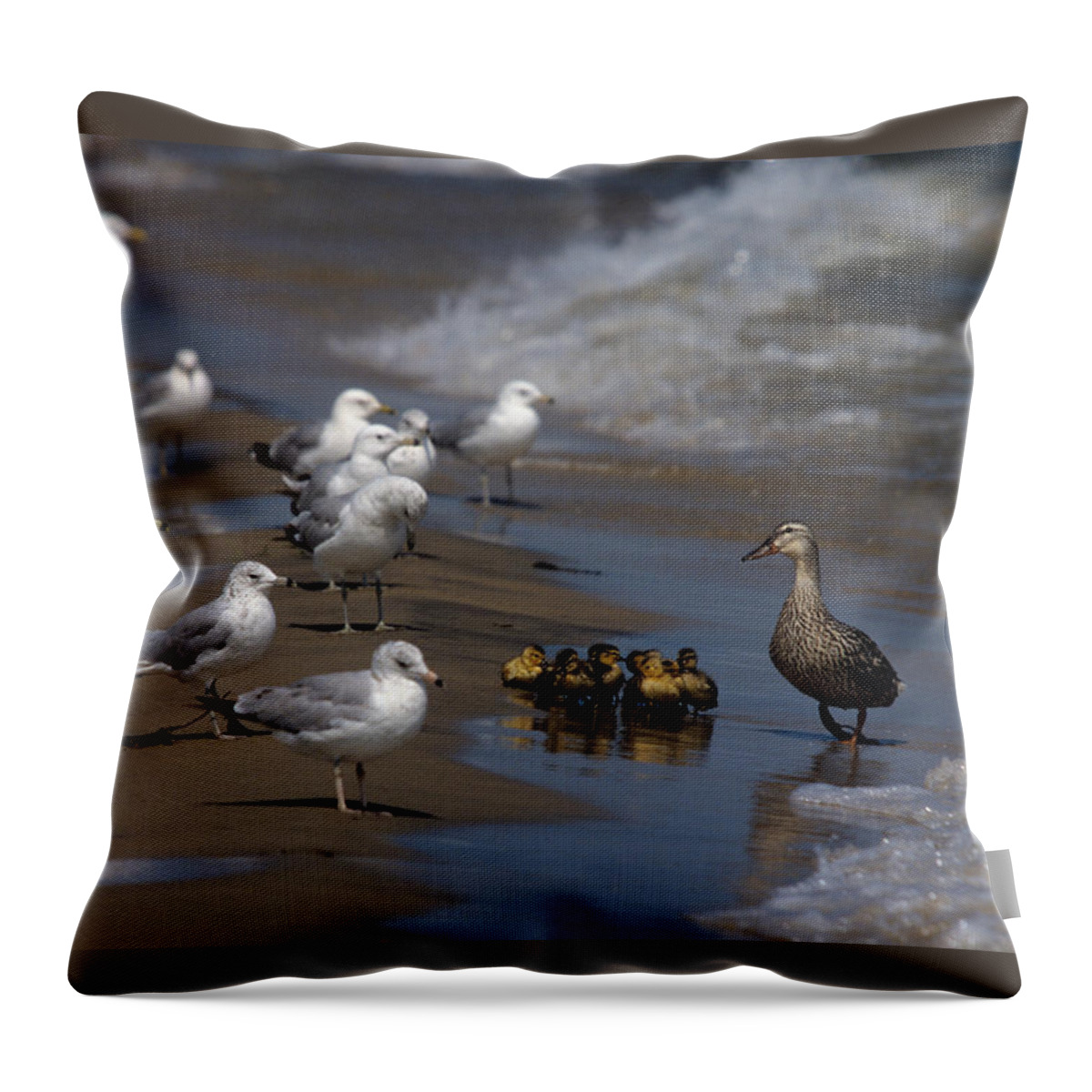 Ducks Throw Pillow featuring the photograph Ducklings in Trouble - Oops not into diversity by John Harmon