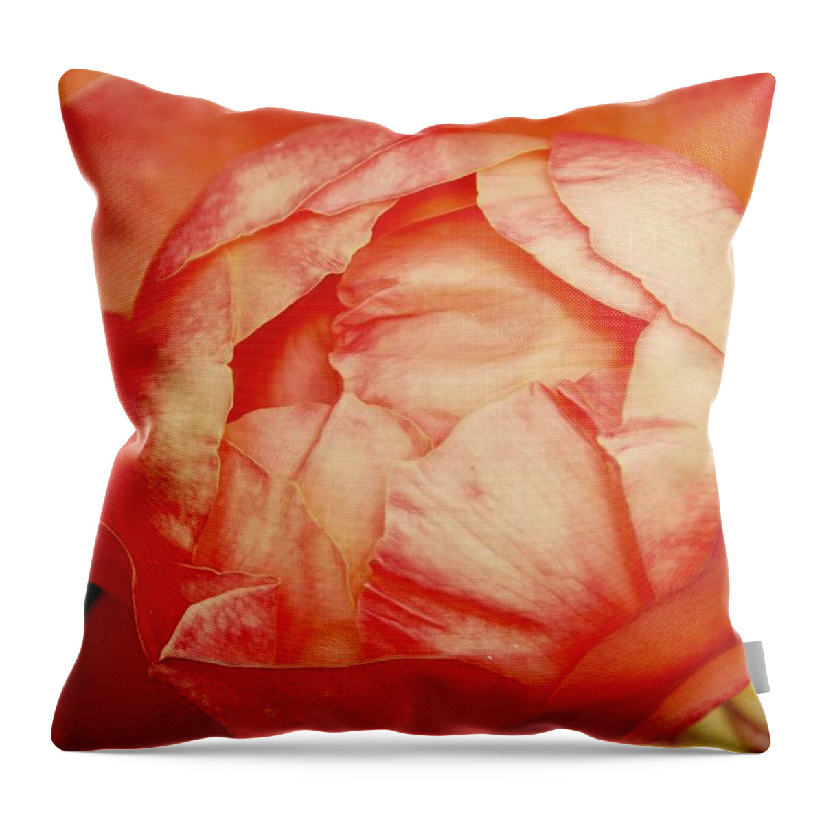 Flower Throw Pillow featuring the photograph Open By Design by David Coleman