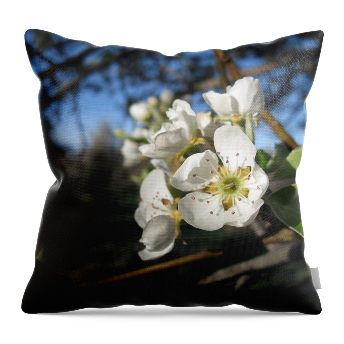  Throw Pillow featuring the photograph Open for Beesness by Ron Monsour