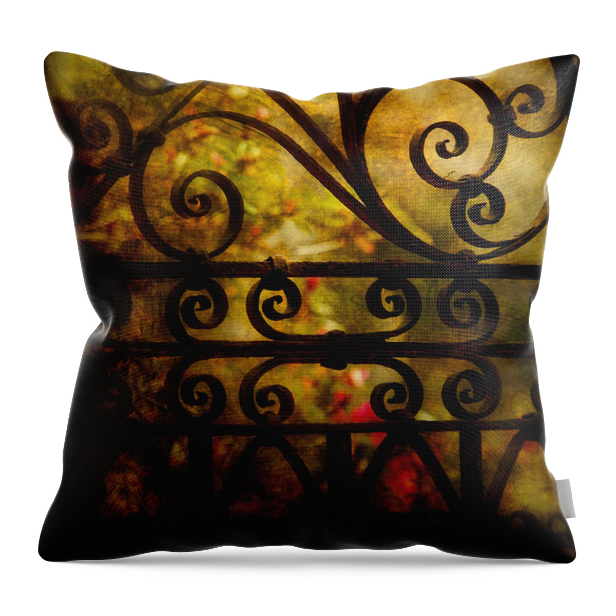 Gate Throw Pillow featuring the photograph Open Iron Gate by Susanne Van Hulst