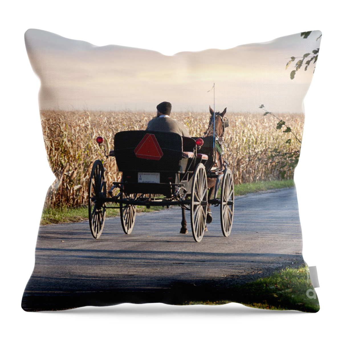 Amish Throw Pillow featuring the photograph Open Road Open Buggy by David Arment