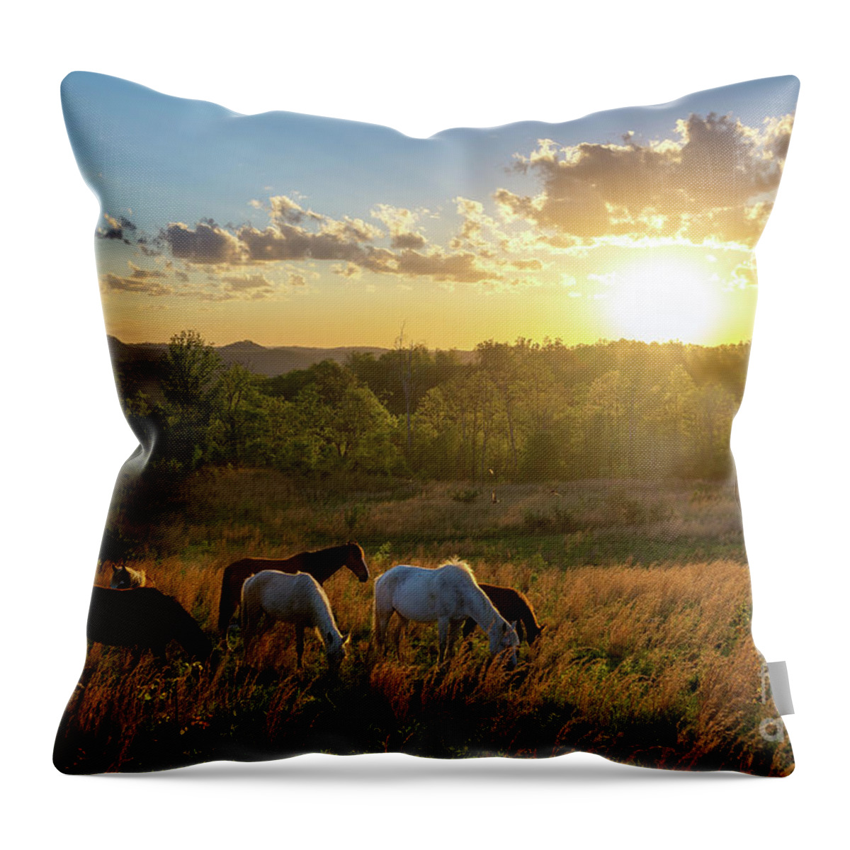 Sky Throw Pillow featuring the photograph Open Spaces by Anthony Heflin