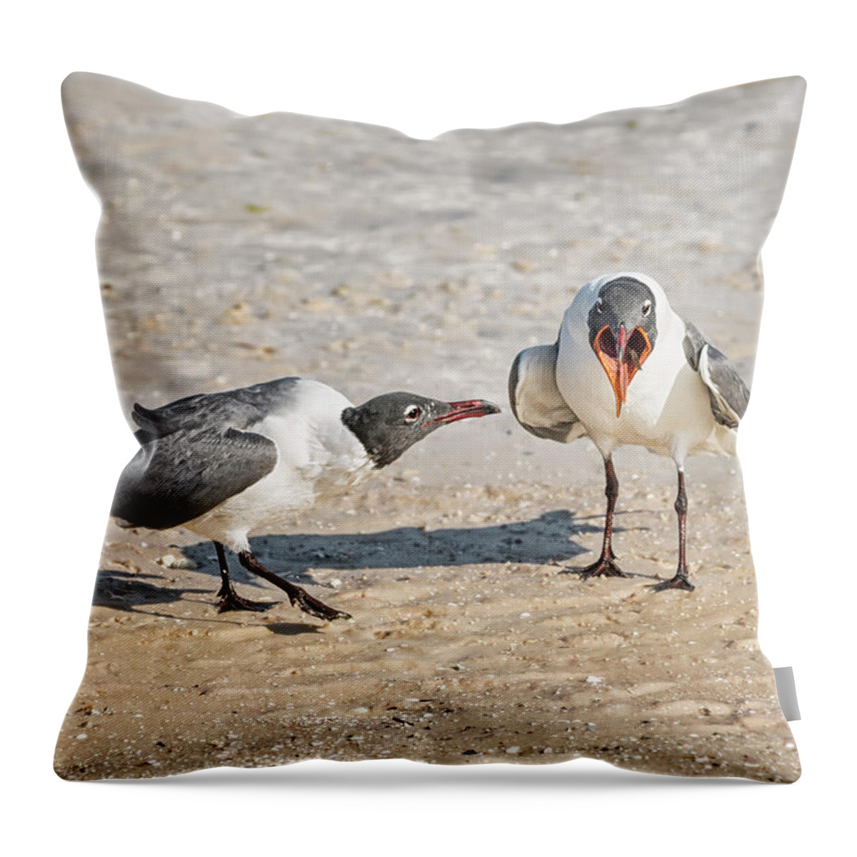 Laughing Gulls Throw Pillow featuring the photograph Open Up and Say Ahhh by Peg Runyan