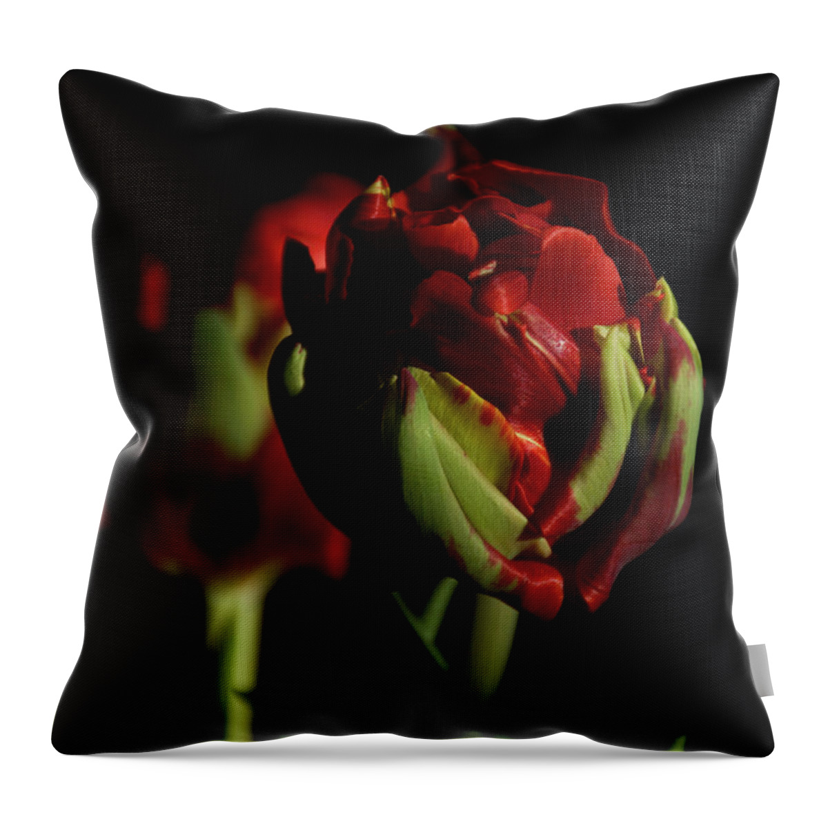 Flowers Throw Pillow featuring the photograph Opening Slowly by Ellery Russell