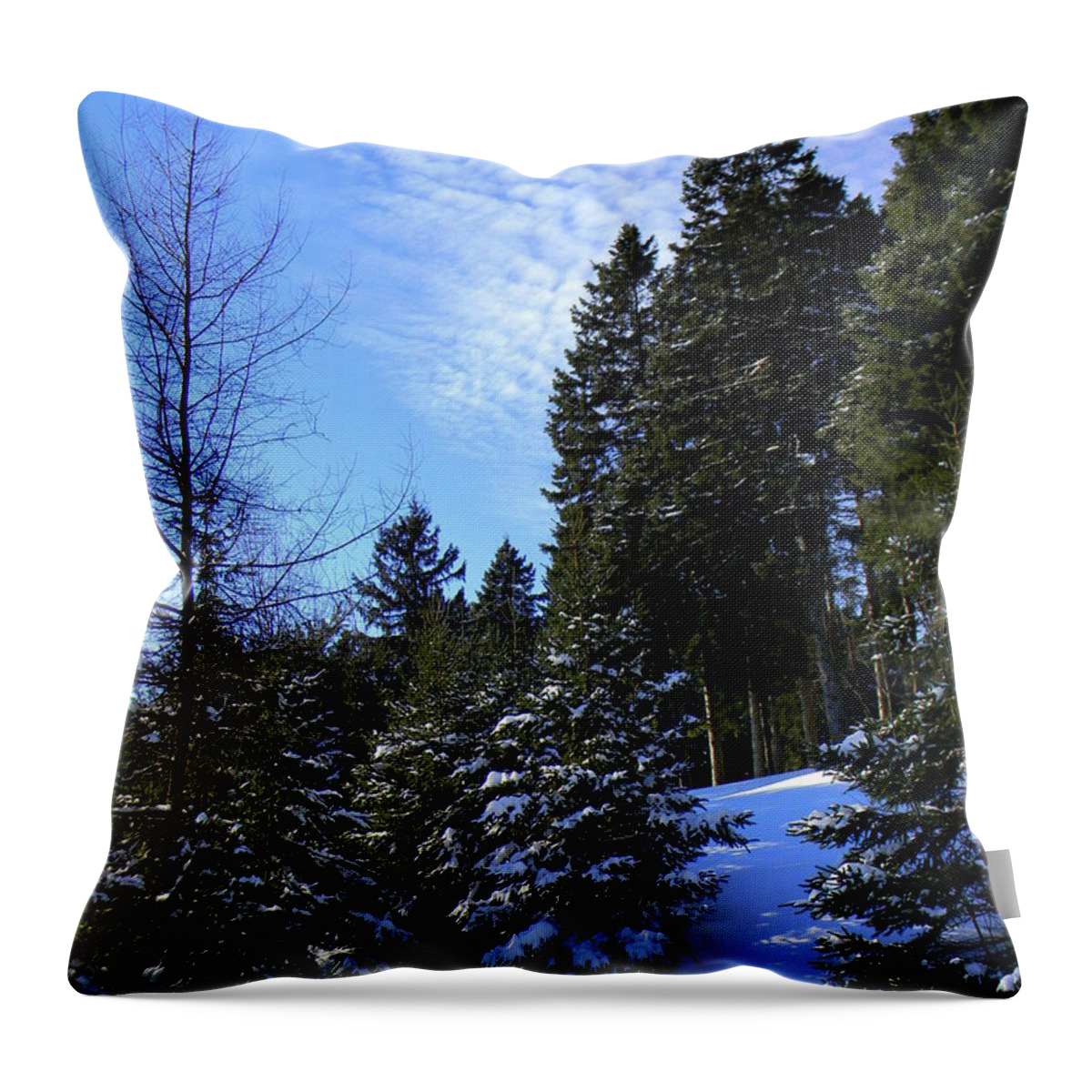 Pine Trees Throw Pillow featuring the photograph Optimistic by Elfriede Fulda